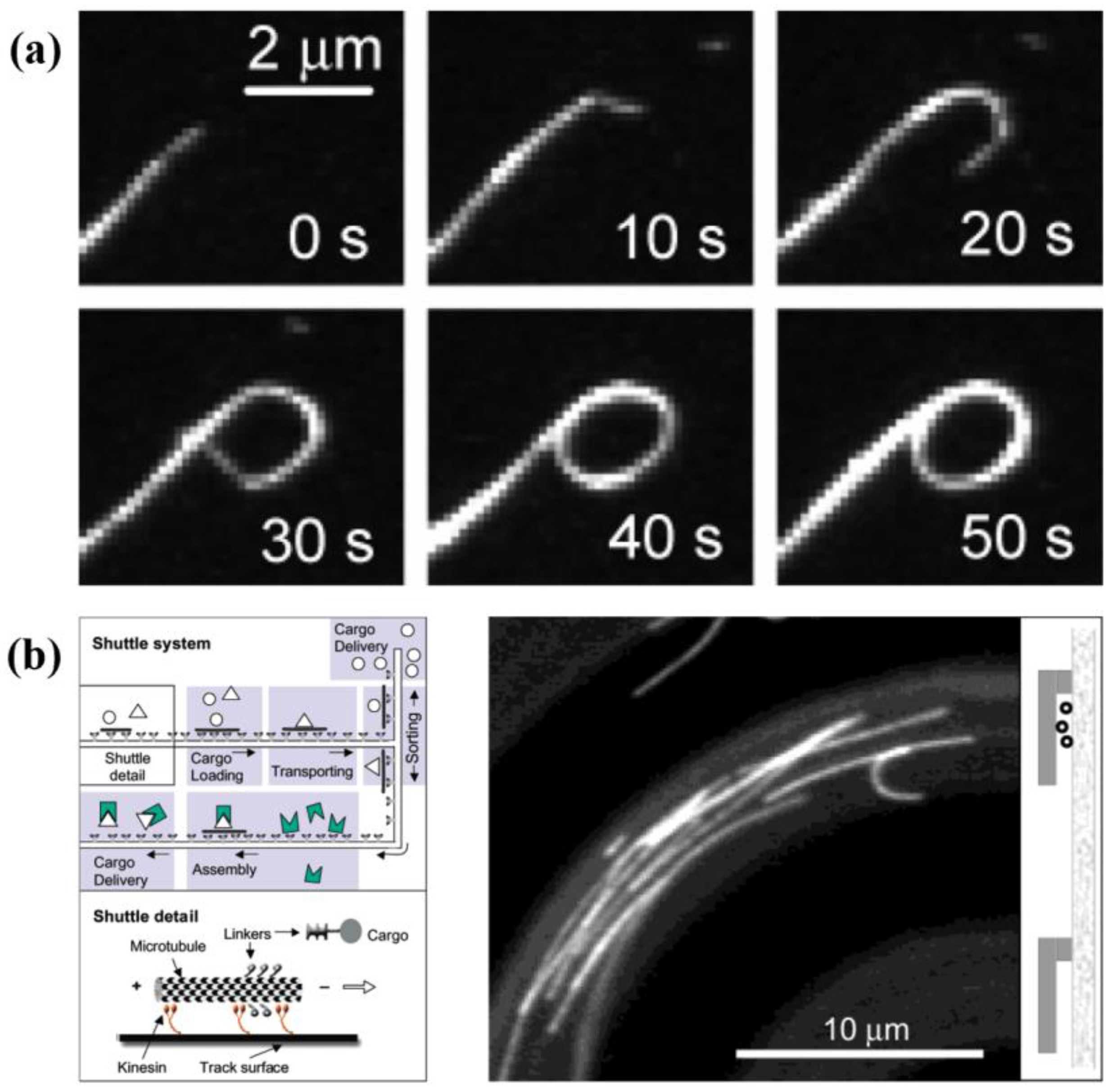 Micromachines 13 00307 g003