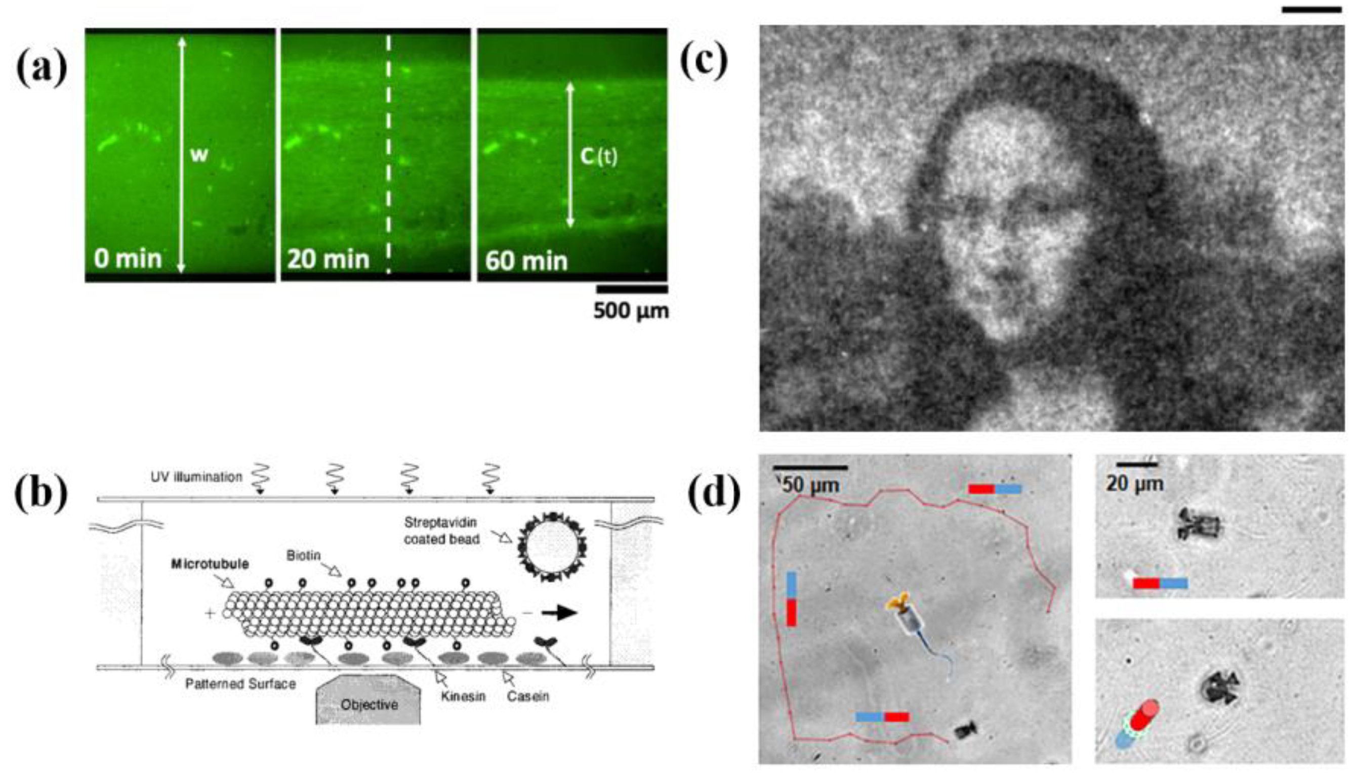 Micromachines 13 00307 g008