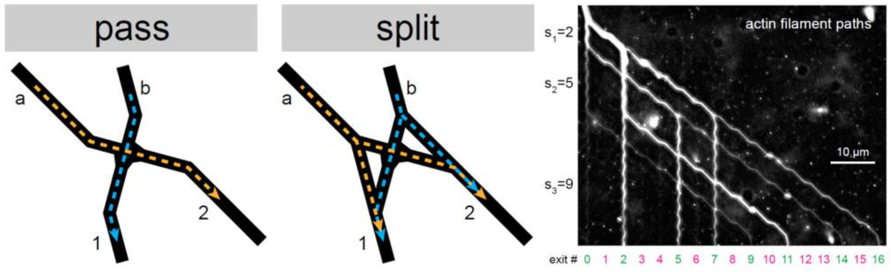 Micromachines 13 00307 g009