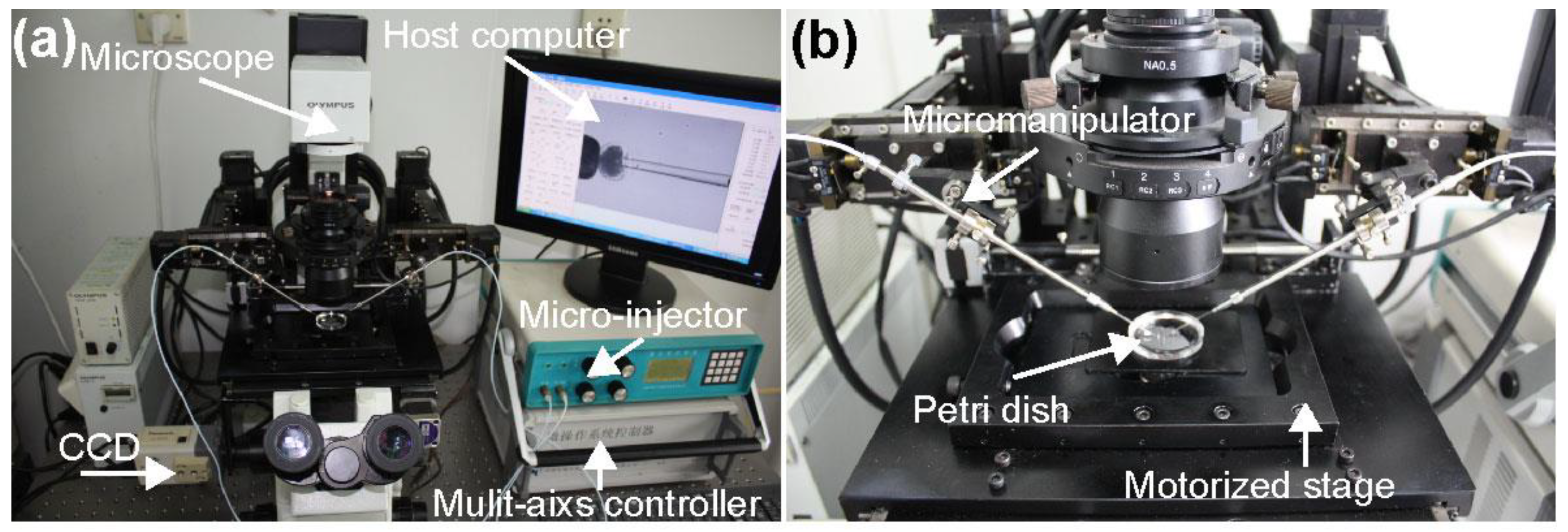 Micromachines 13 00309 g001