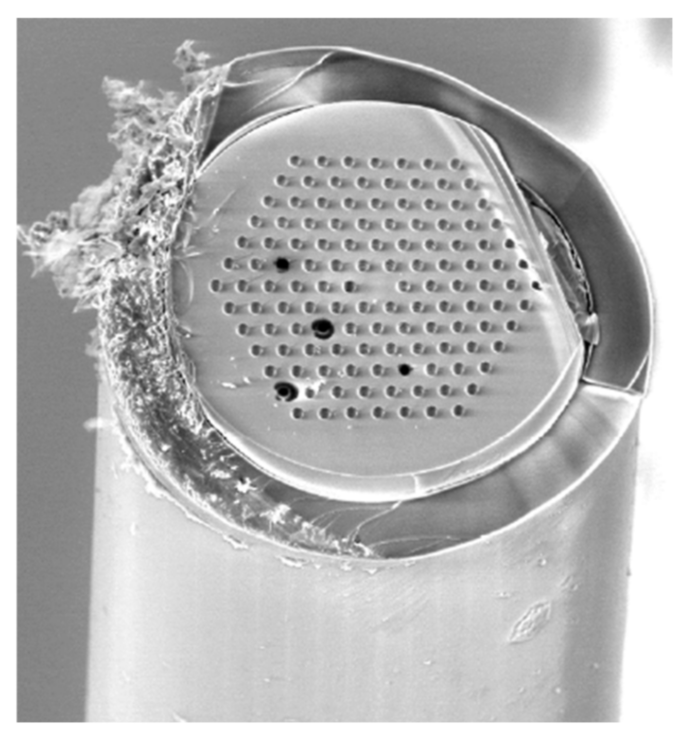 Micromachines 13 00311 g005