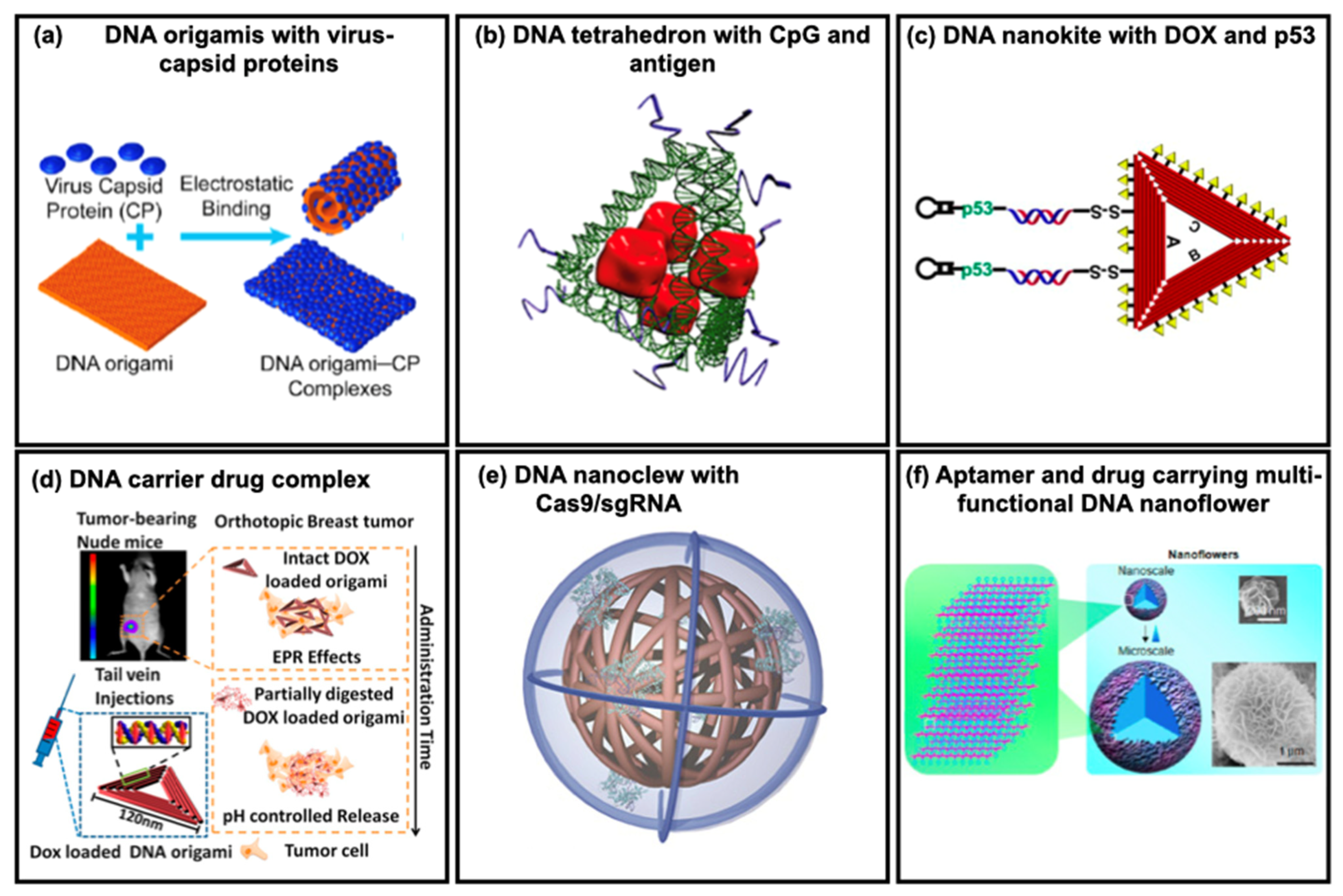 Micromachines 13 00315 g003