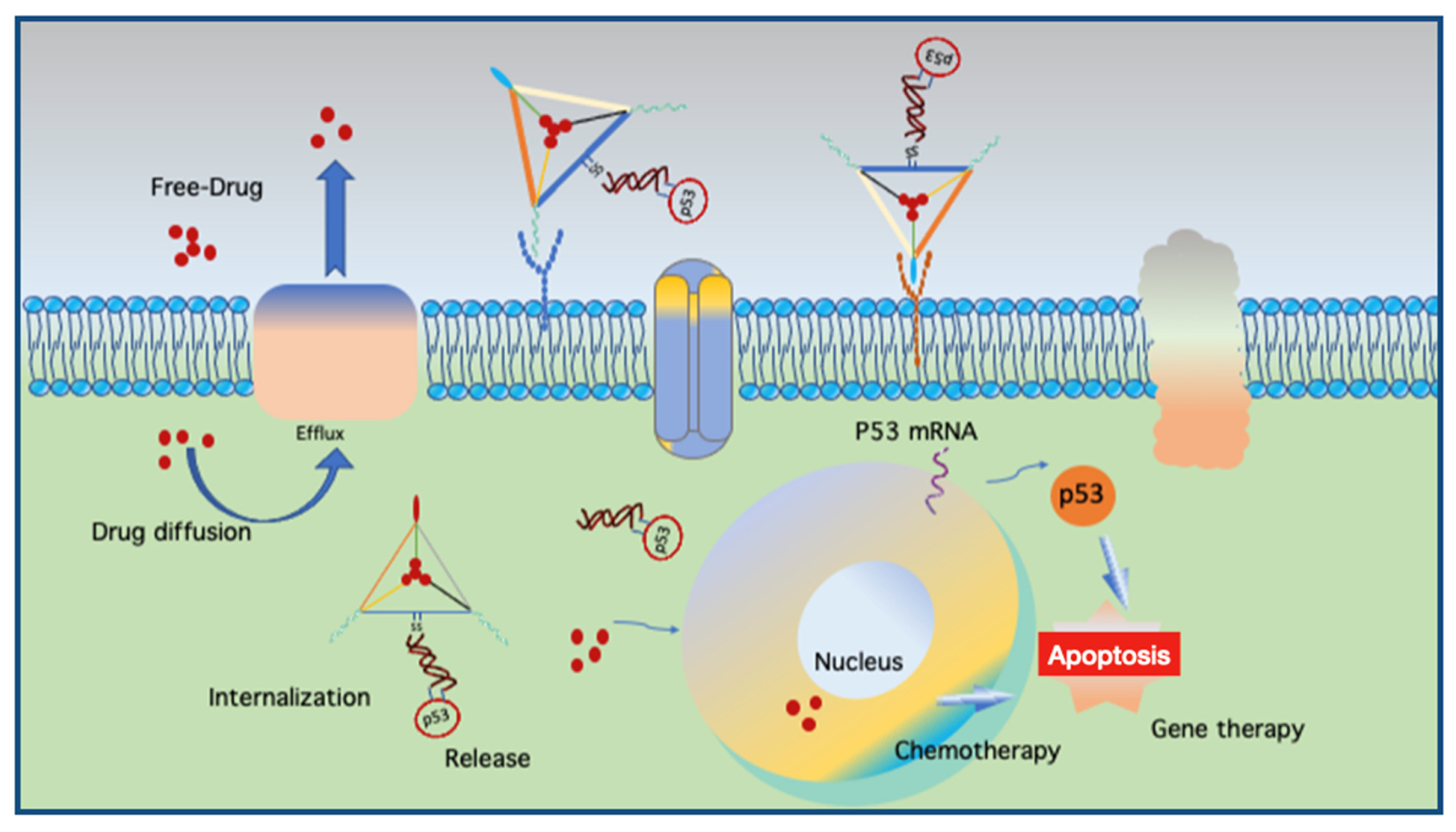 Micromachines 13 00315 g004