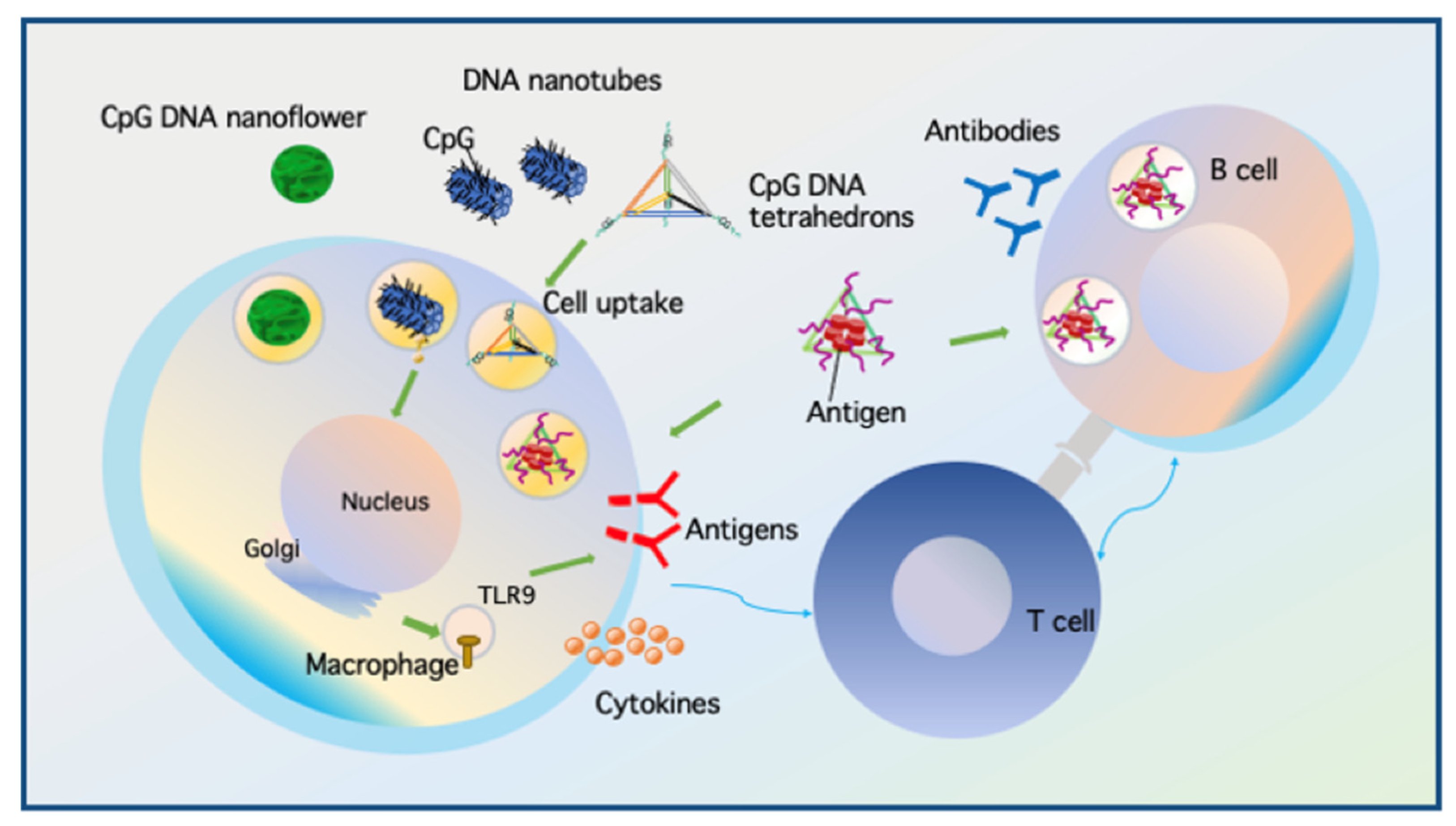 Micromachines 13 00315 g005