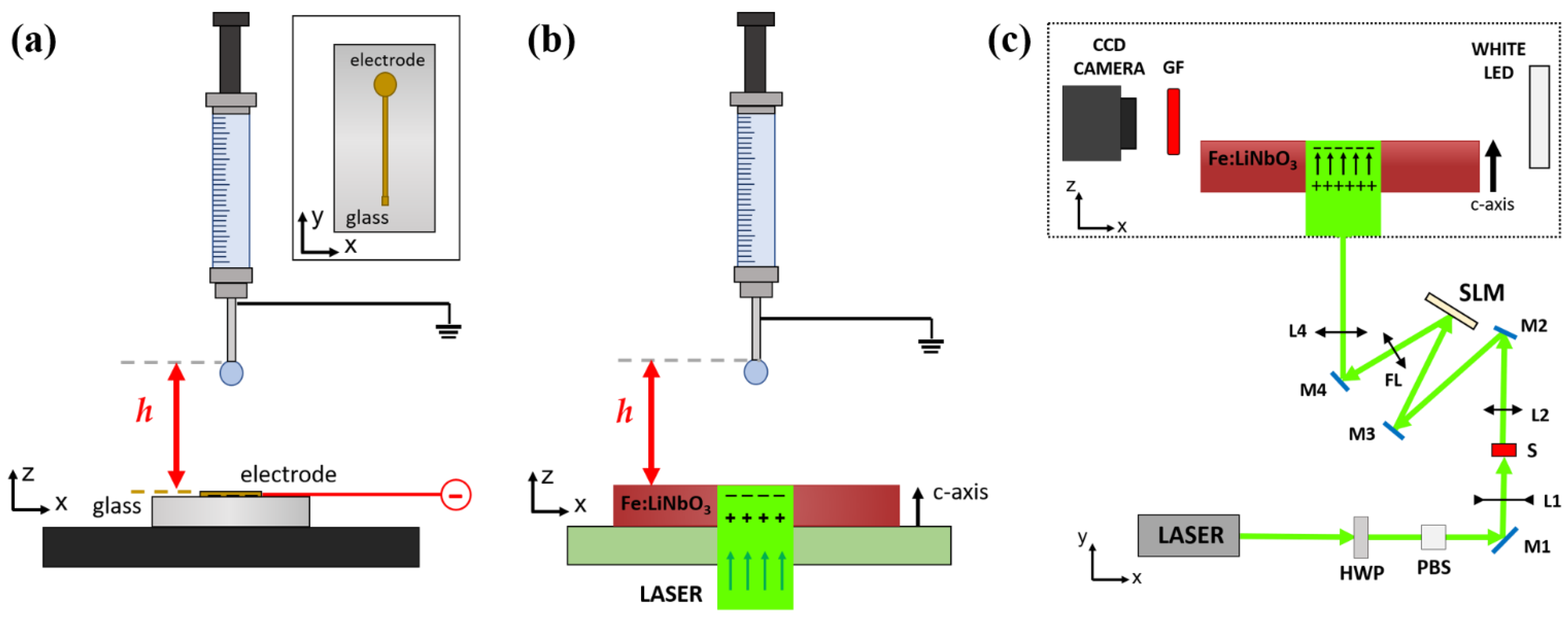 Micromachines 13 00316 g001