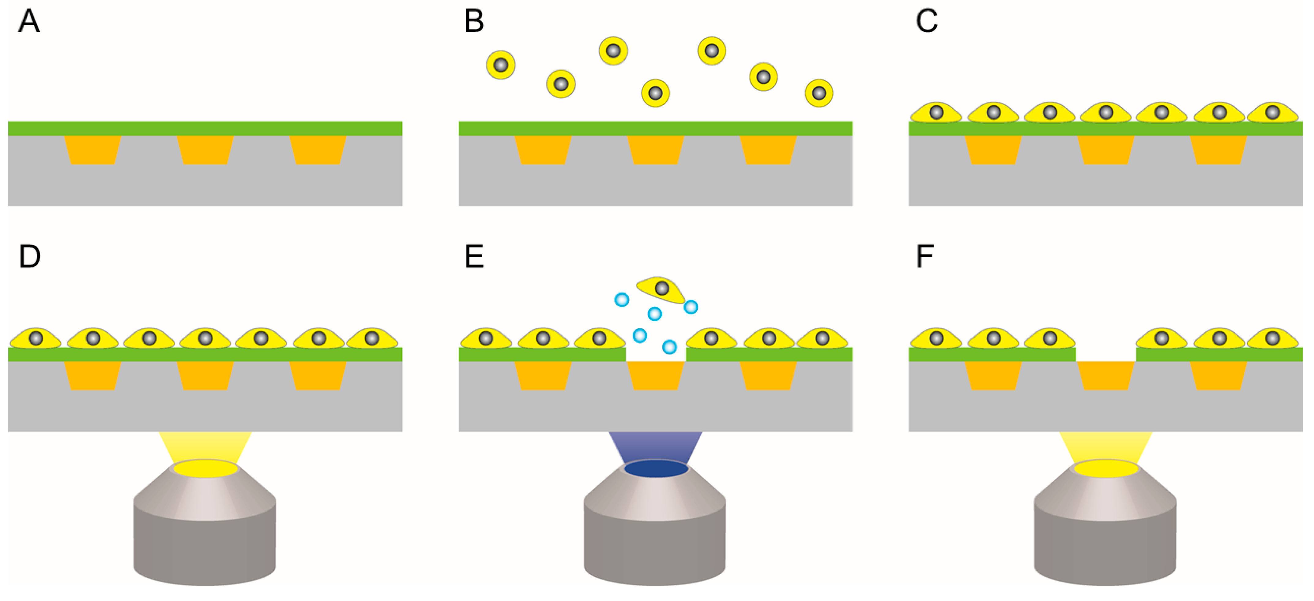 Micromachines 13 00320 g004