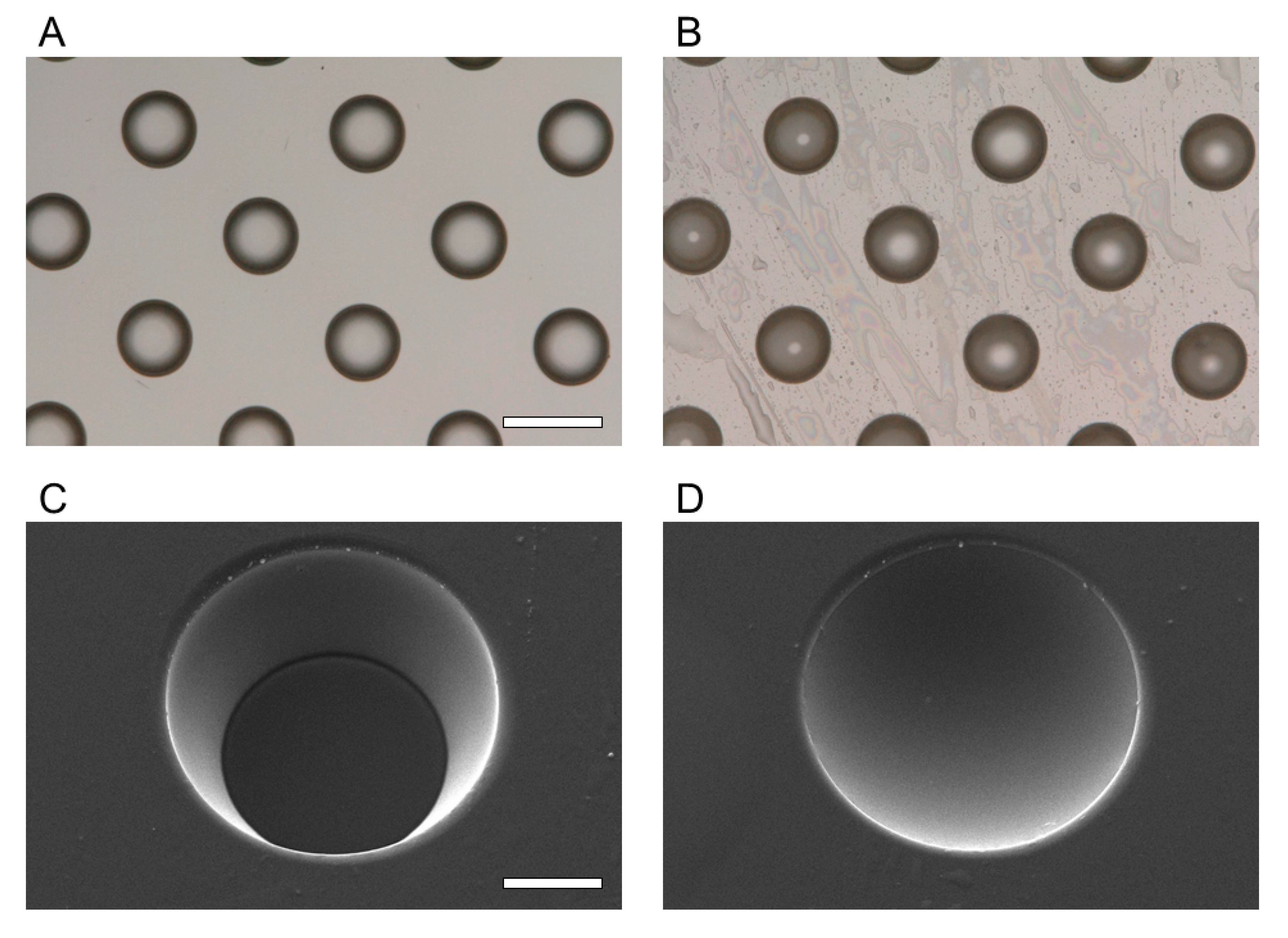 Micromachines 13 00320 g005
