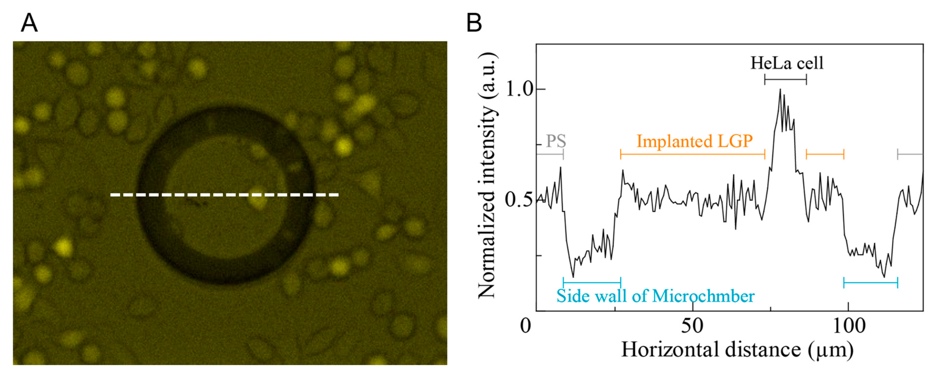 Micromachines 13 00320 g007