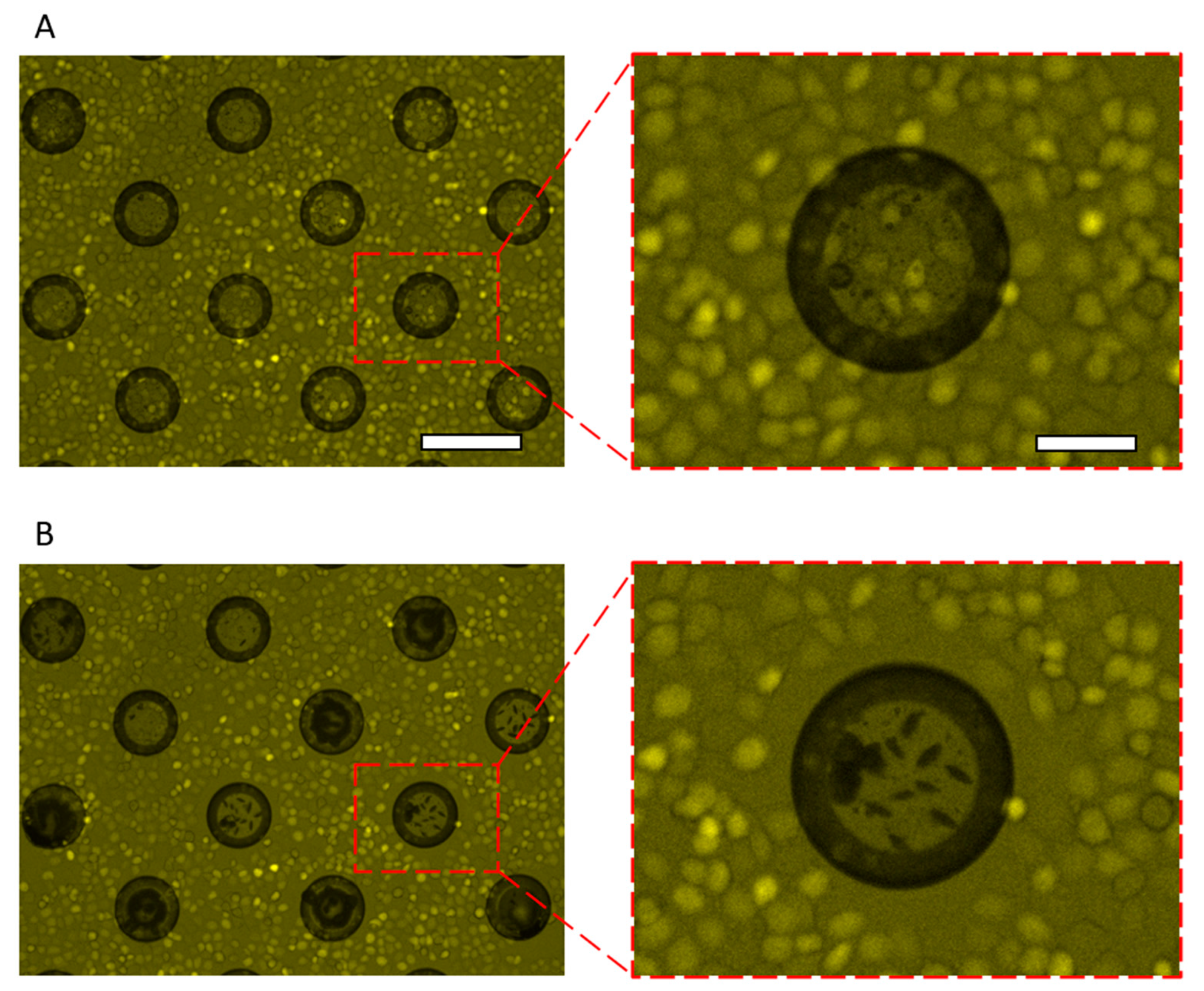 Micromachines 13 00320 g008