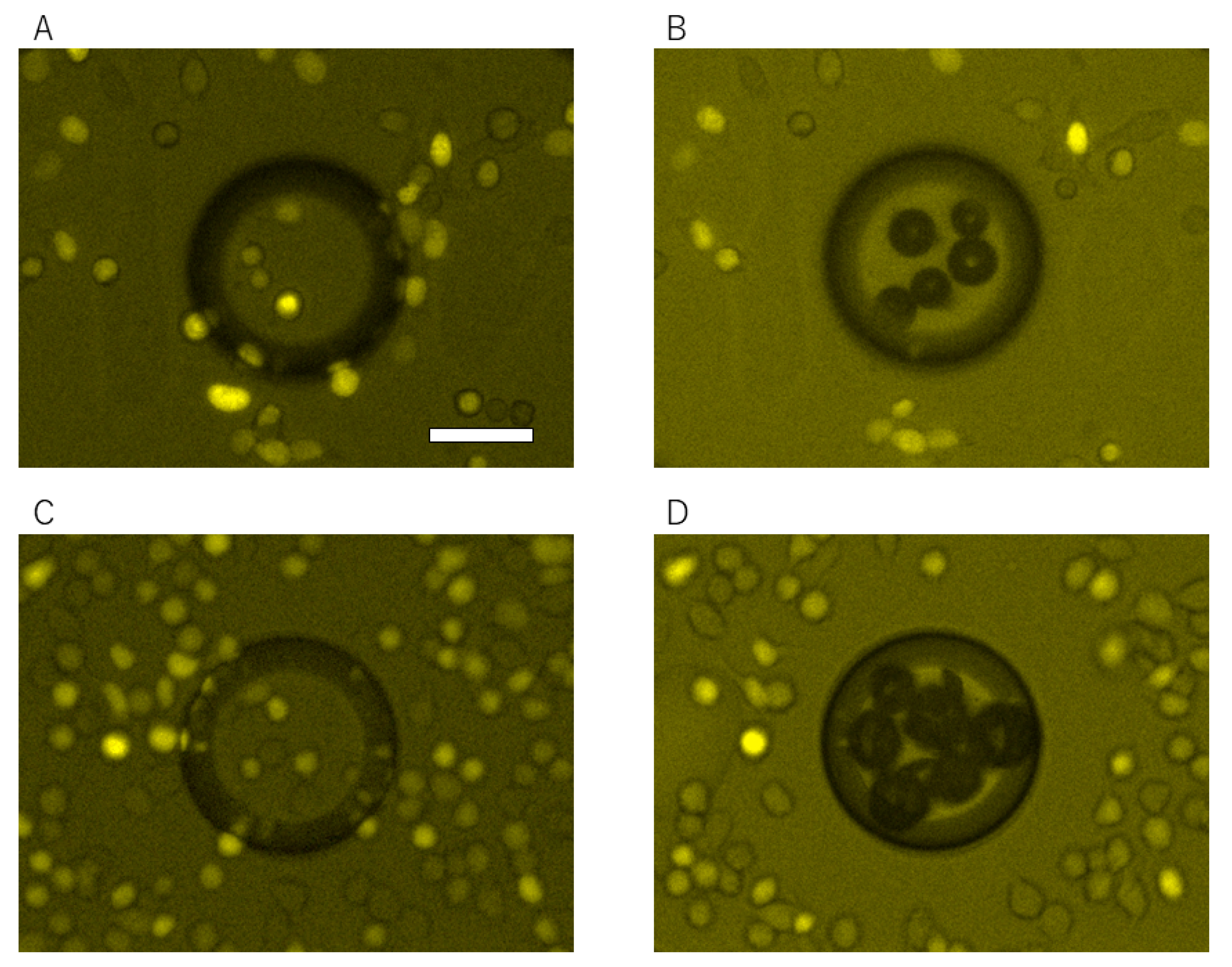 Micromachines 13 00320 g009