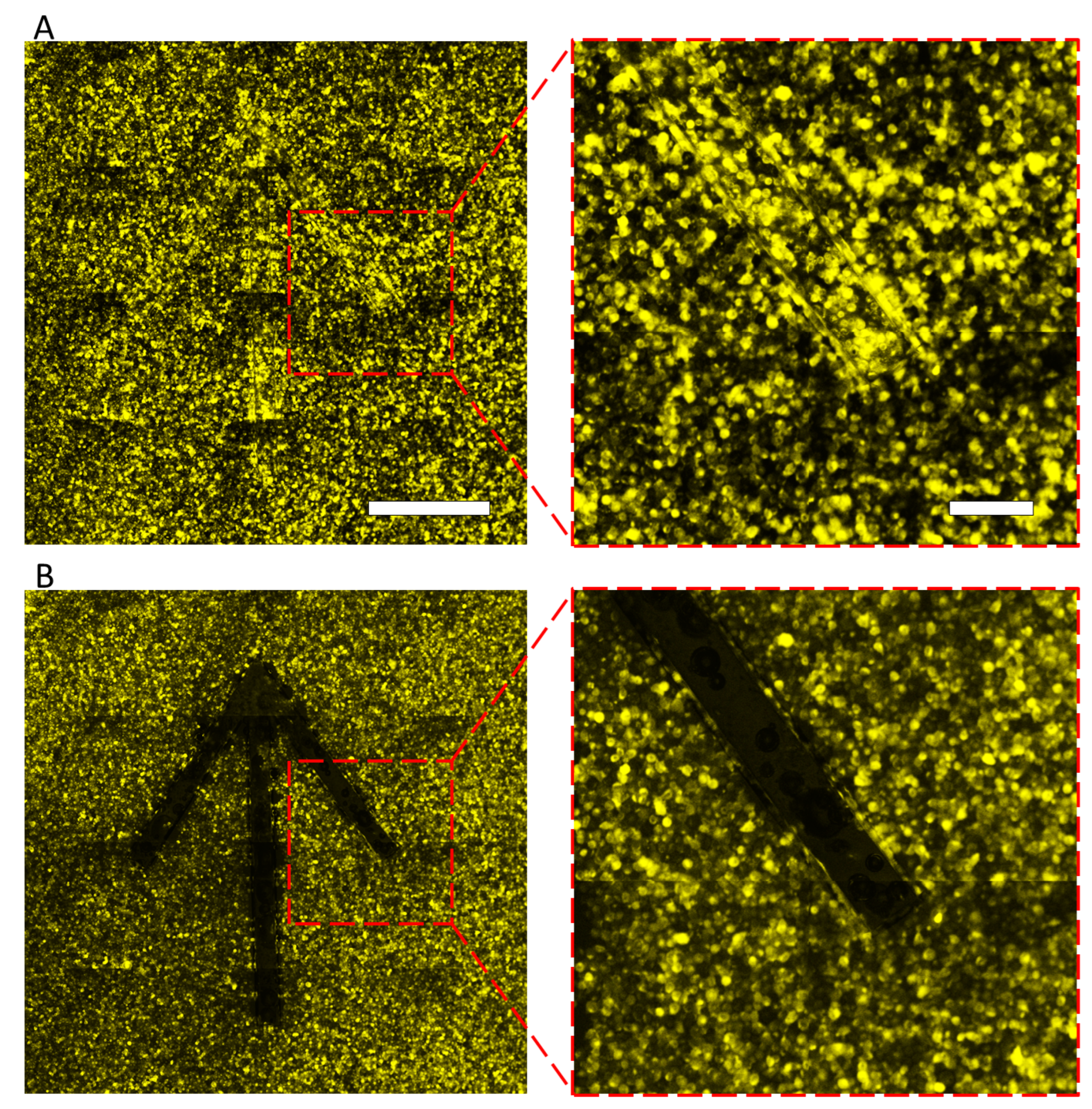 Micromachines 13 00320 g010