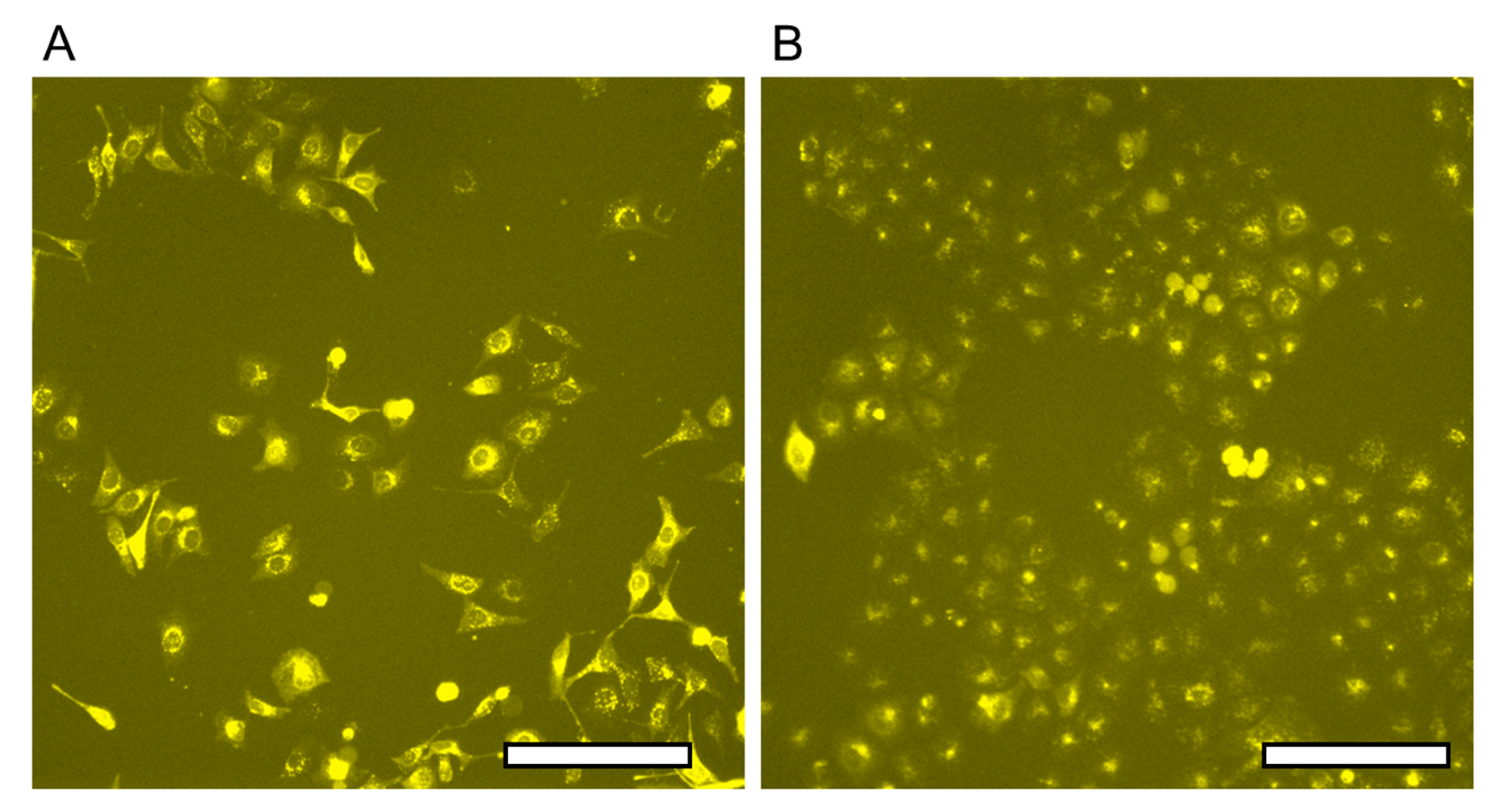 Micromachines 13 00320 g011
