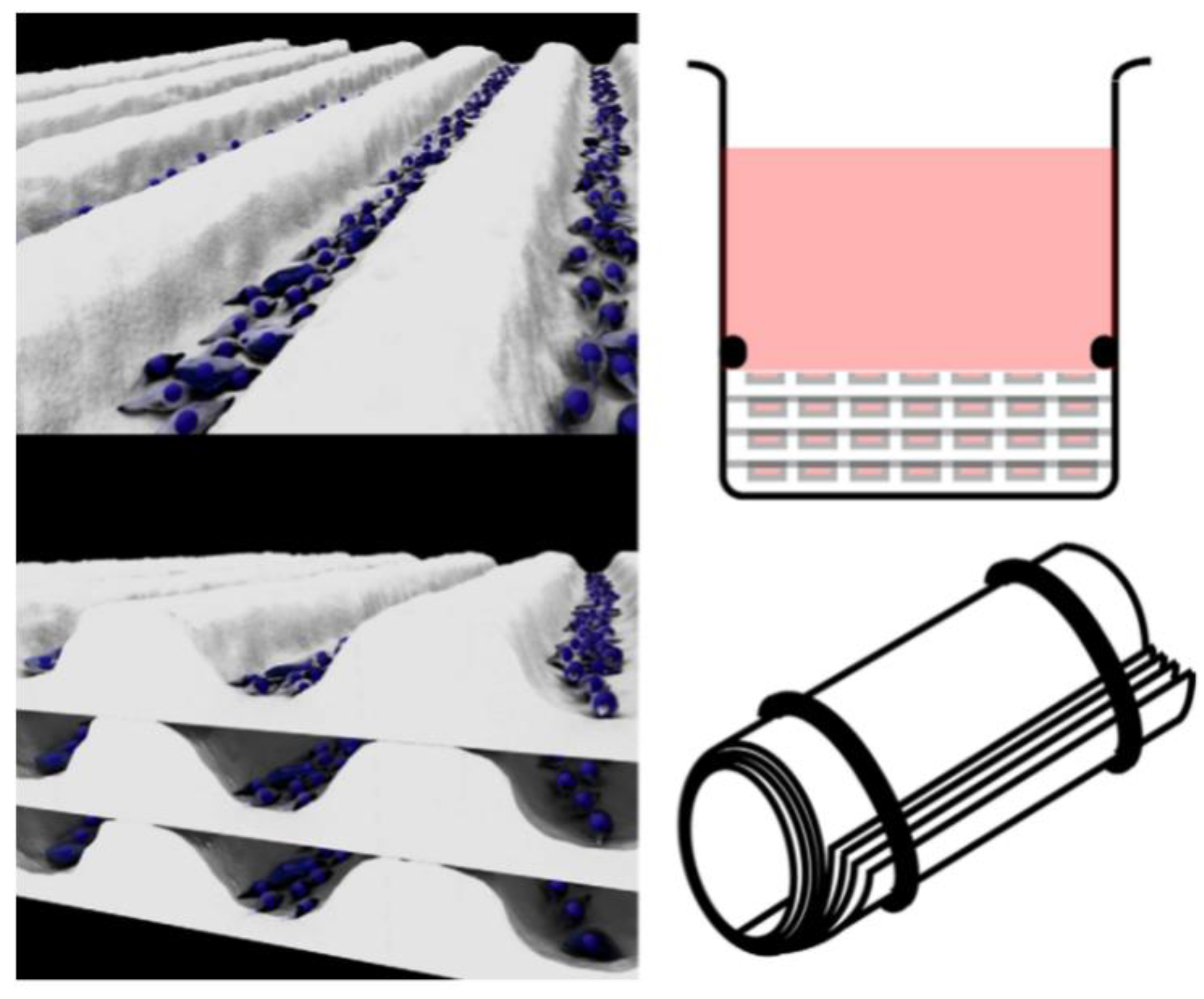 Micromachines 13 00326 g003