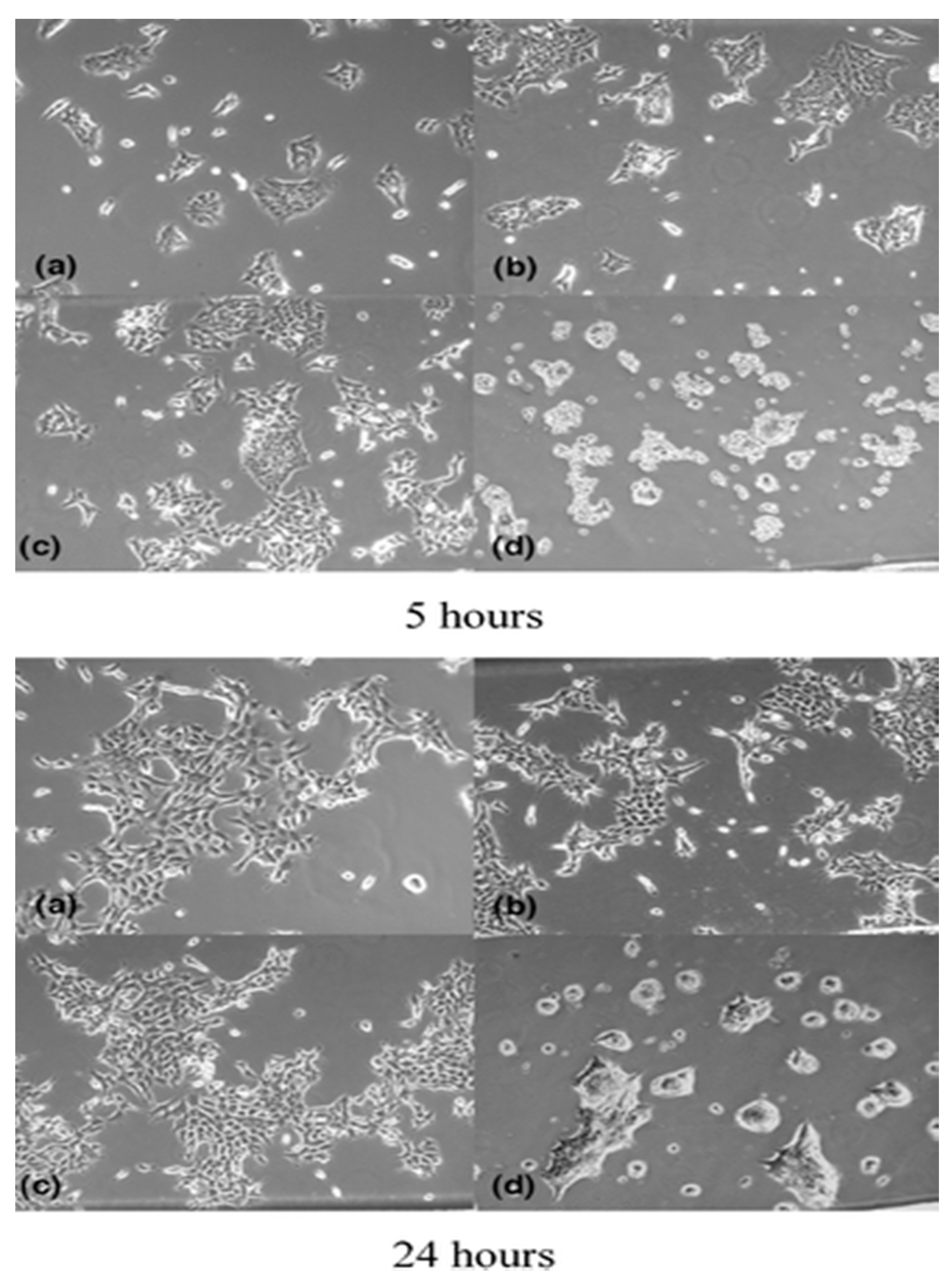 Micromachines 13 00328 g003