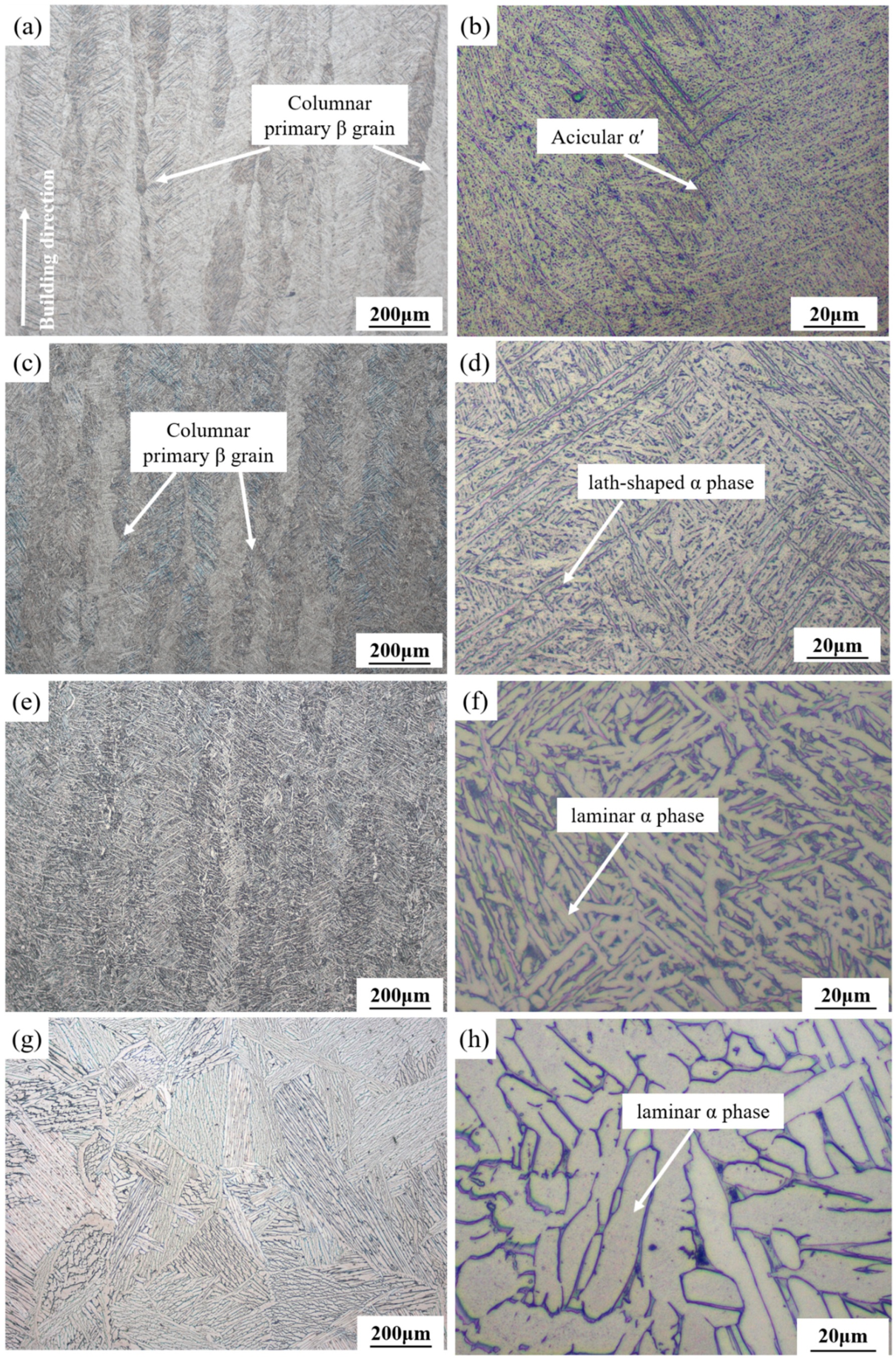 Micromachines 13 00331 g010