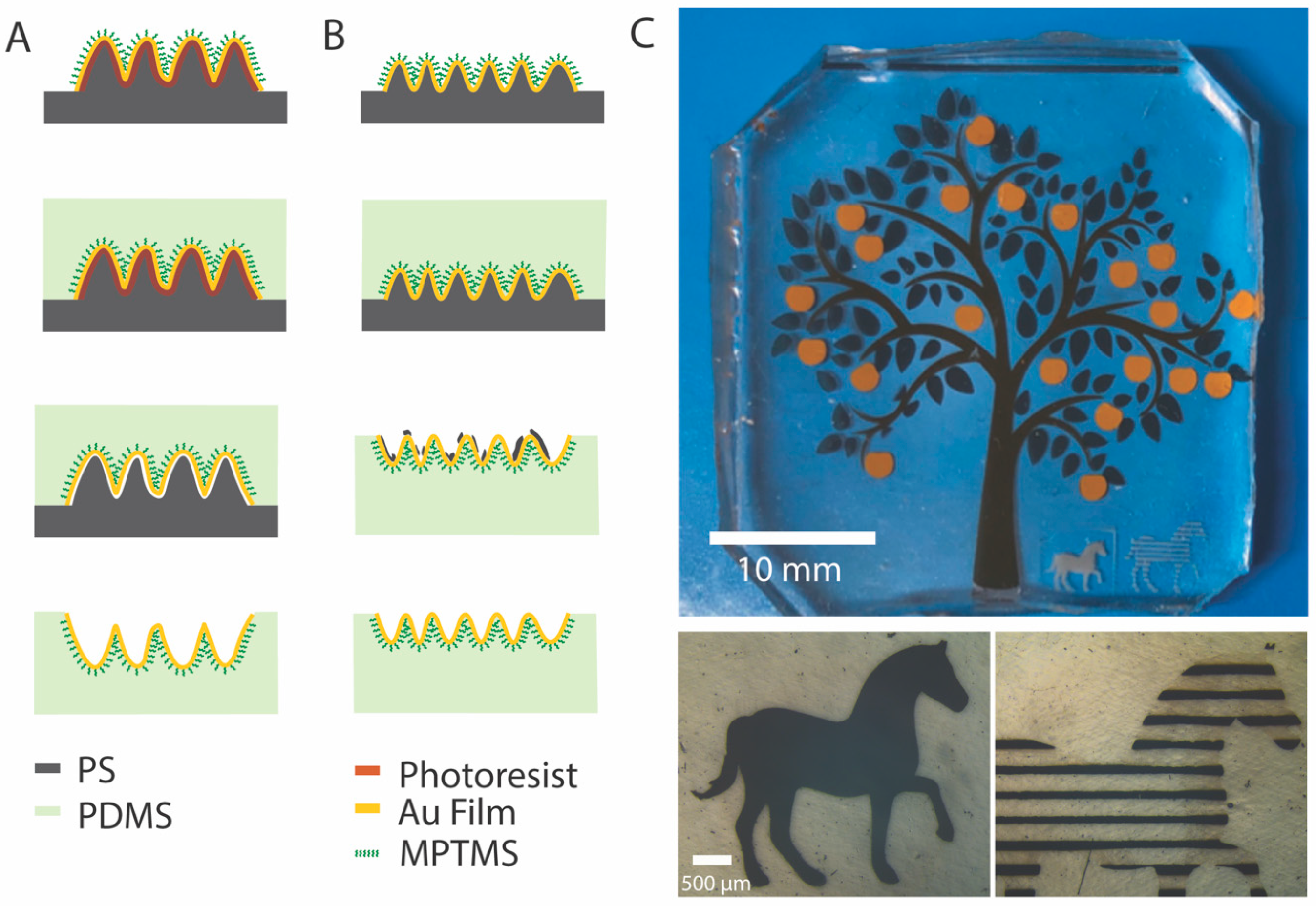 Micromachines 13 00334 g001
