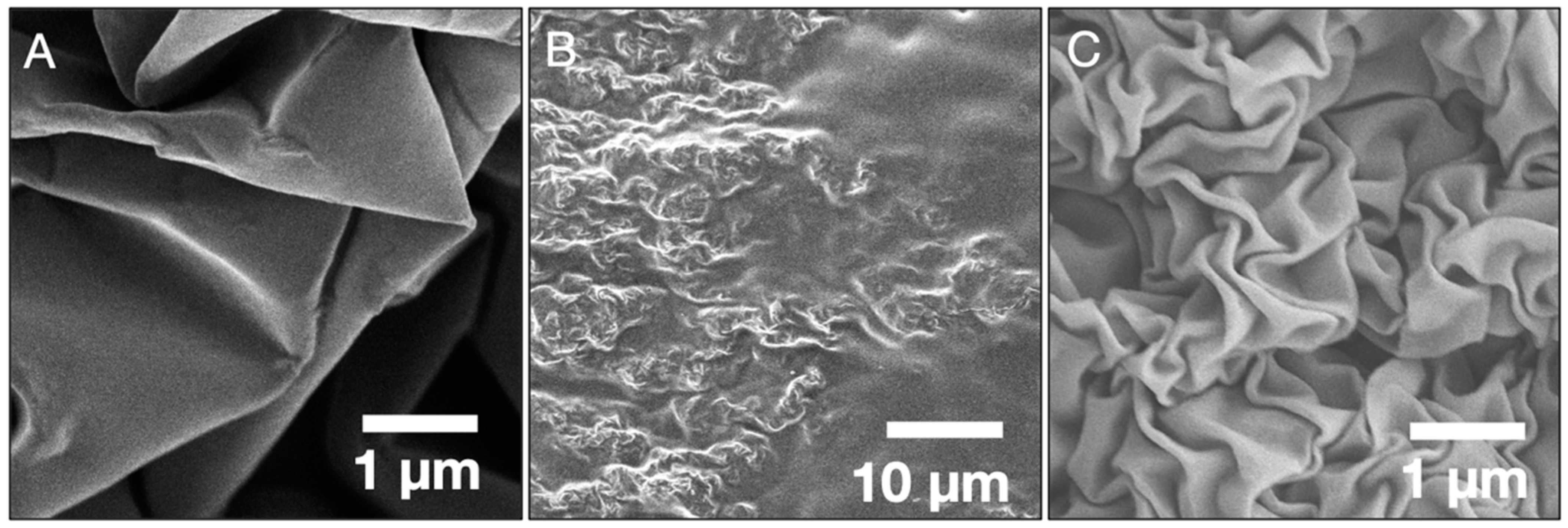 Micromachines 13 00334 g002