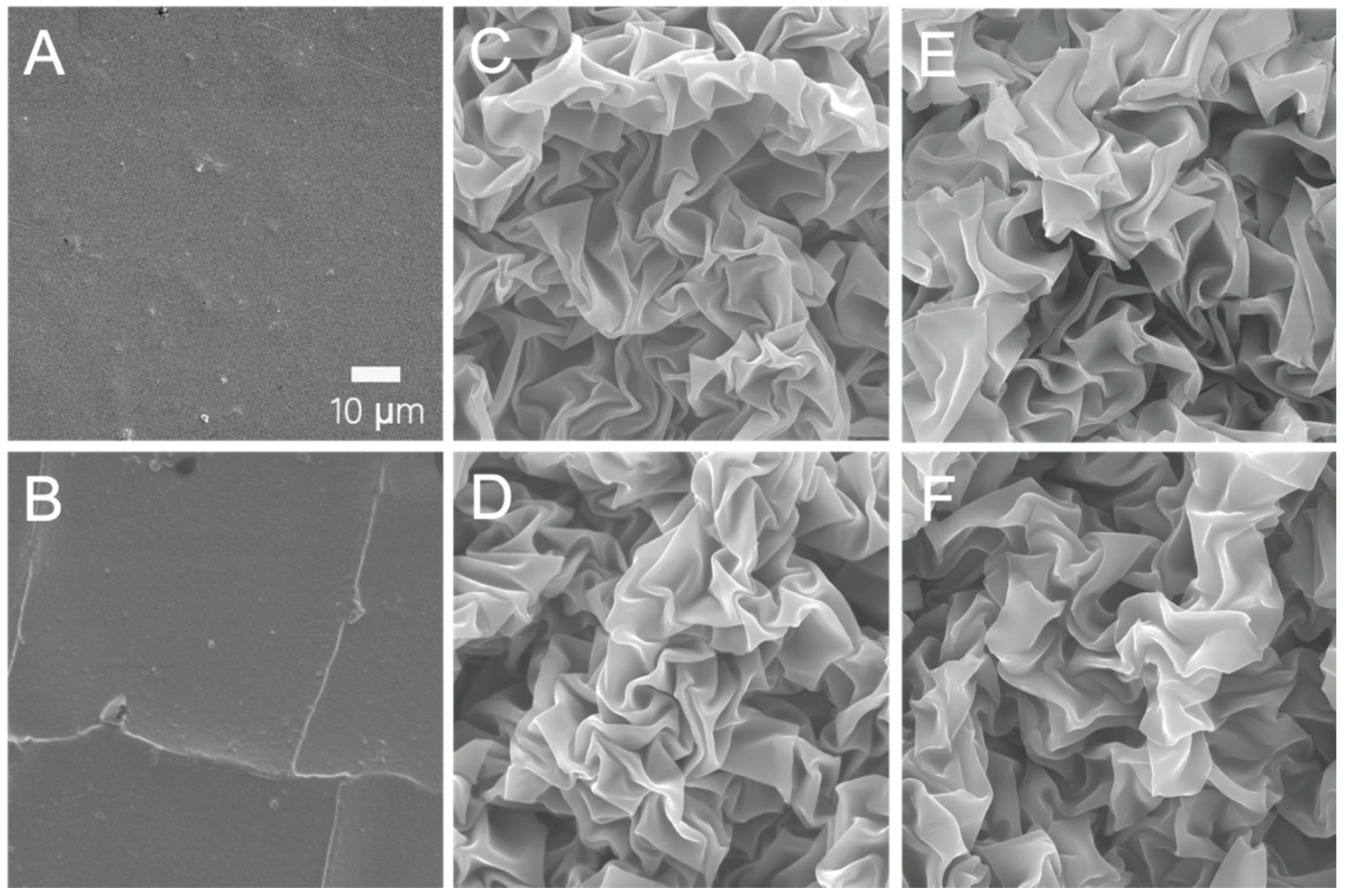 Micromachines 13 00334 g003