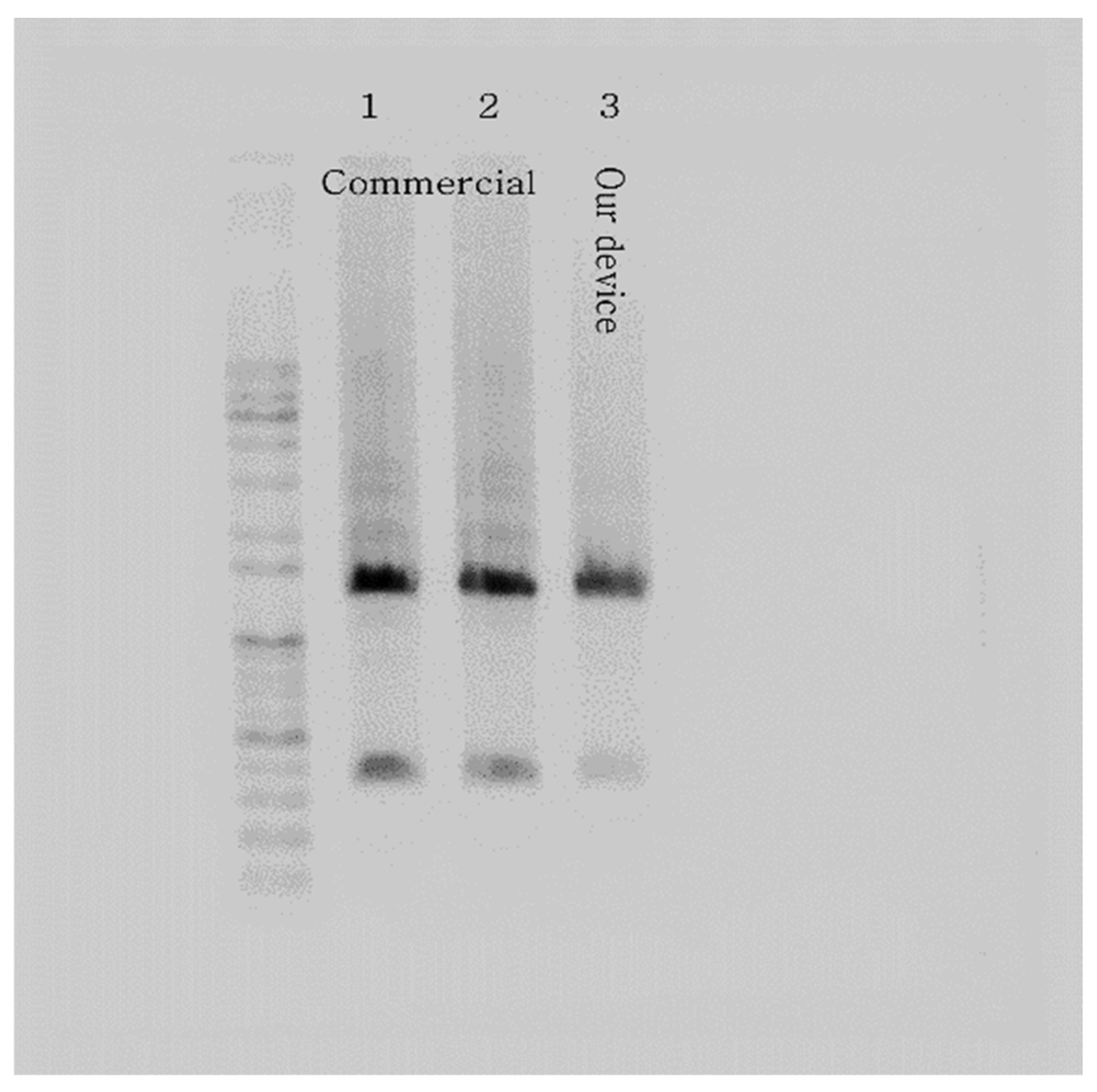 Micromachines 13 00339 g009