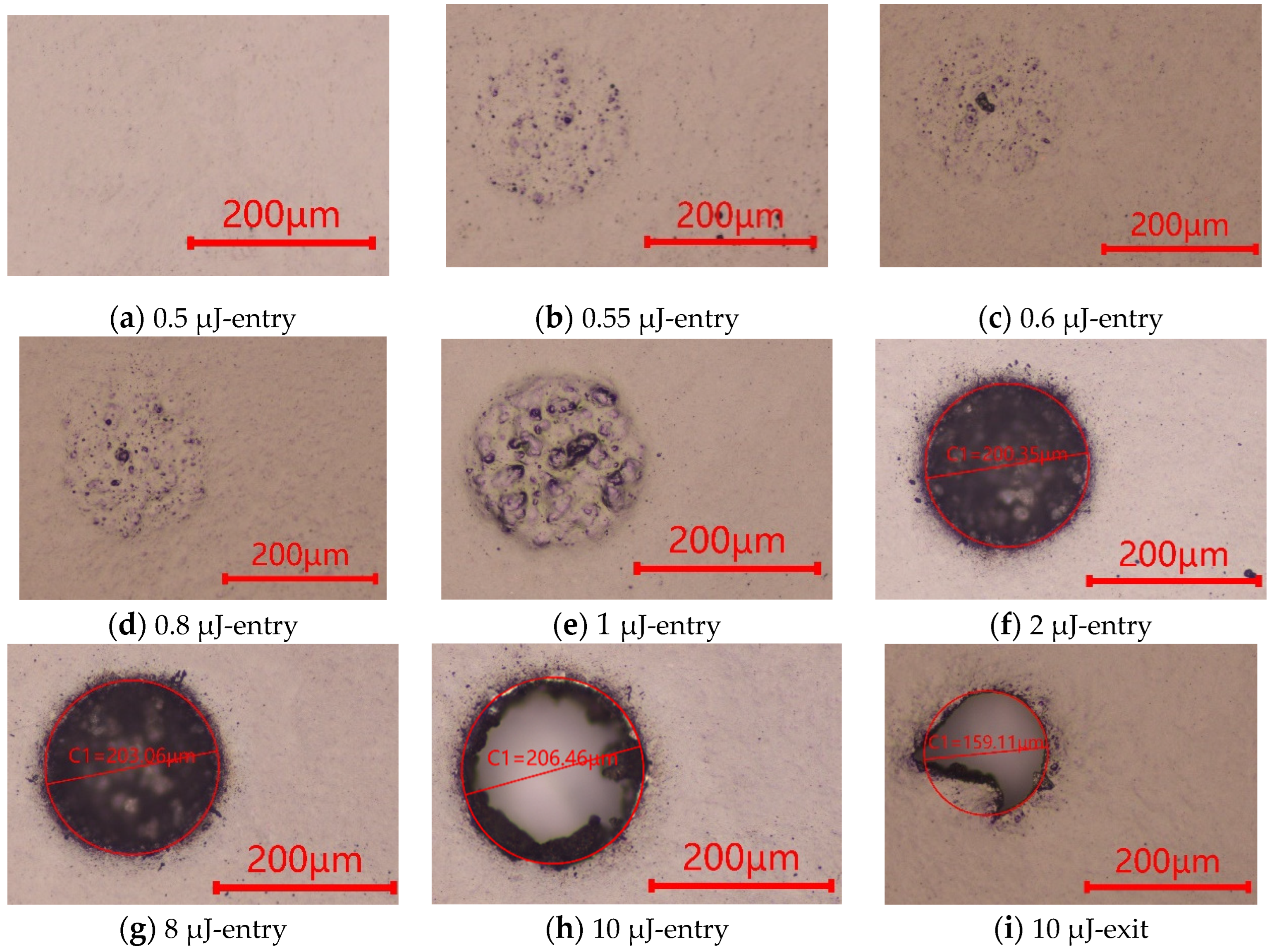 Micromachines 13 00340 g006