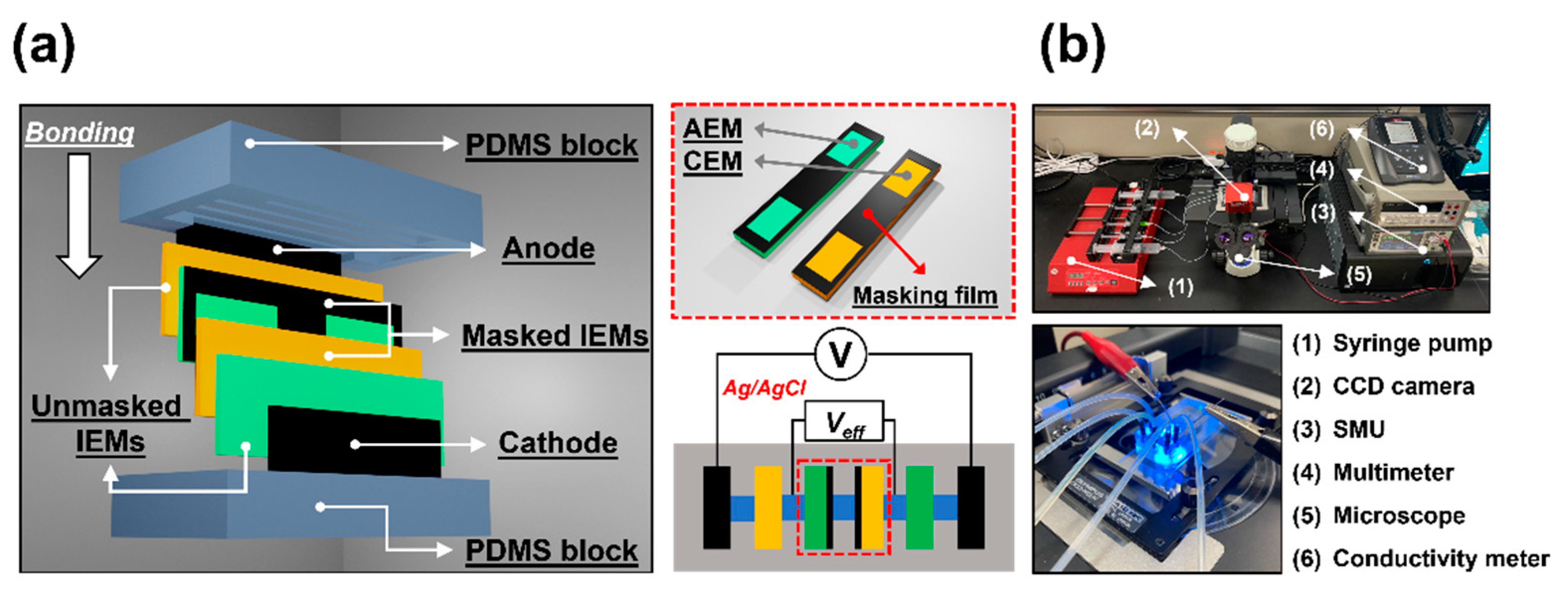 Micromachines 13 00356 g002