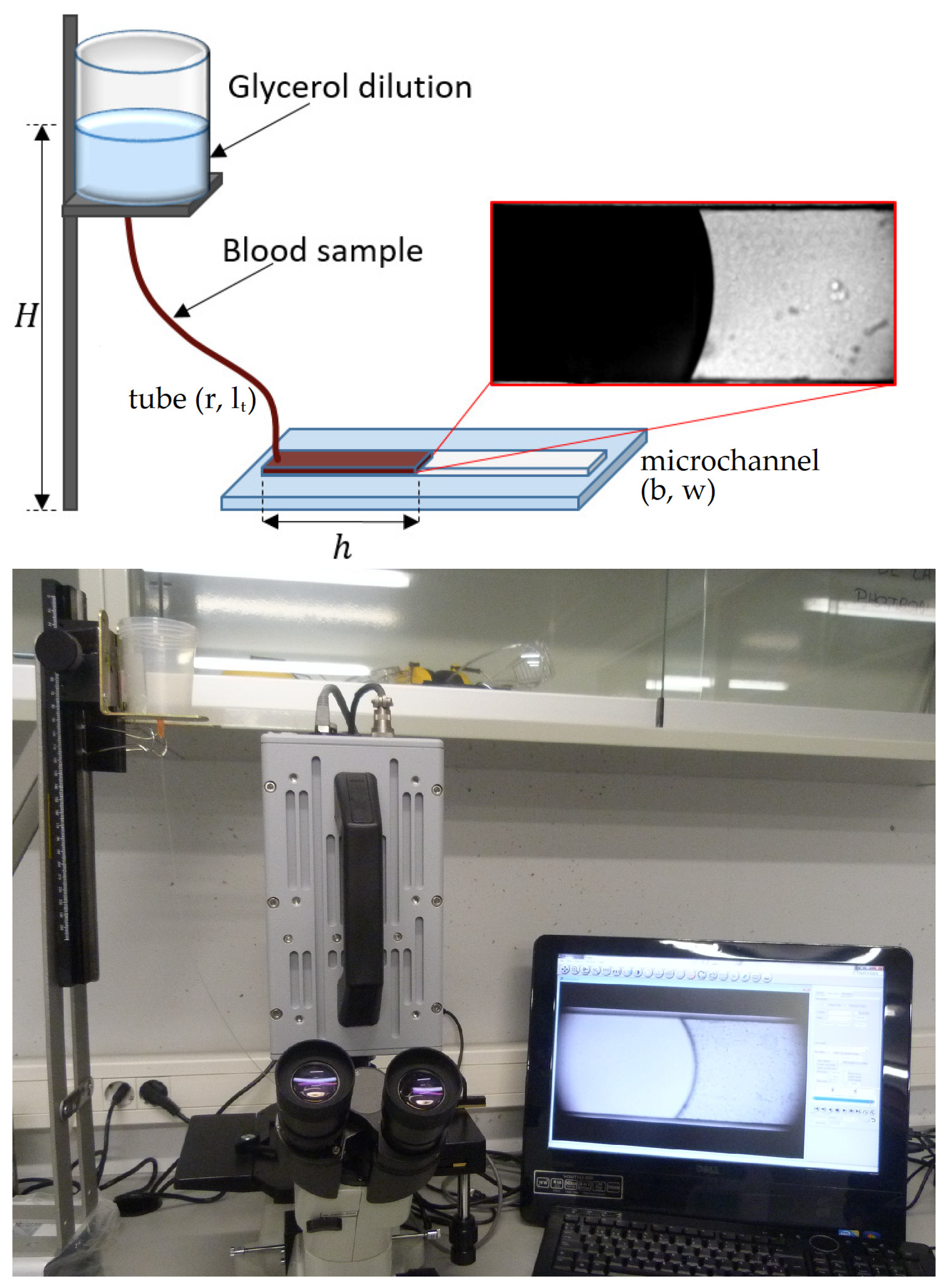 Micromachines 13 00357 g001