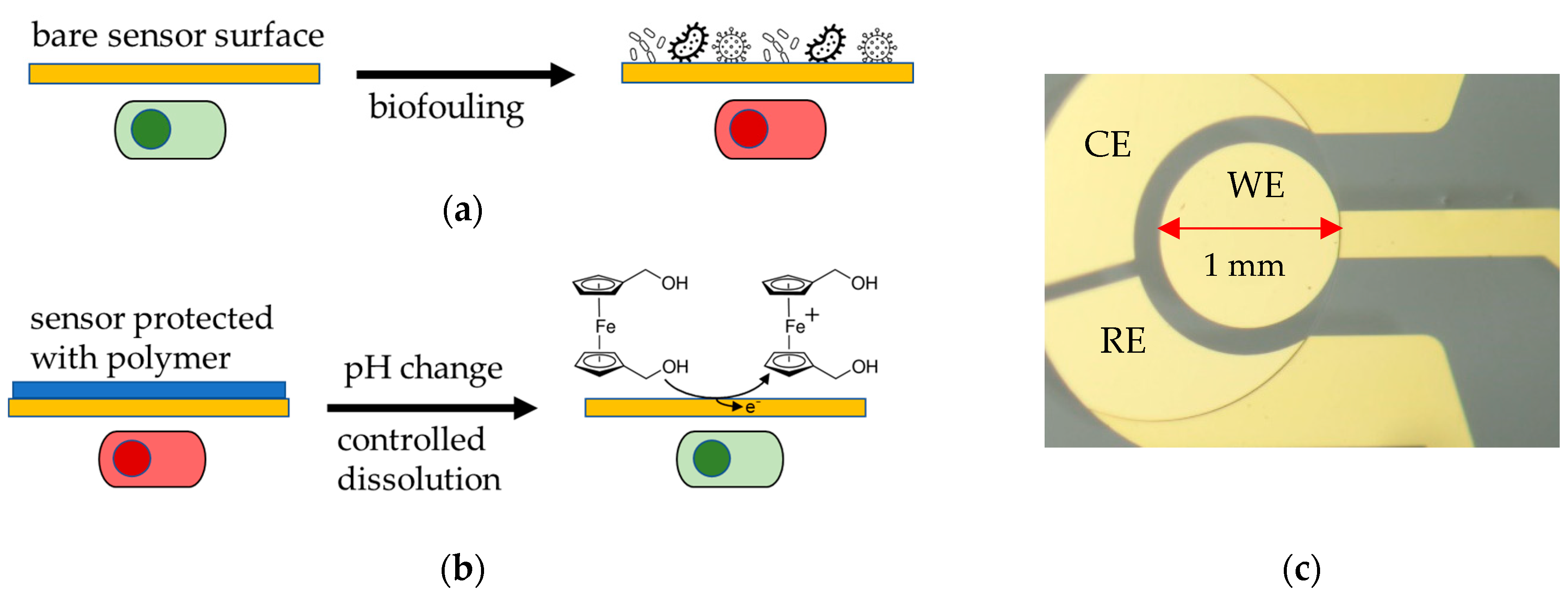 Micromachines 13 00362 g001