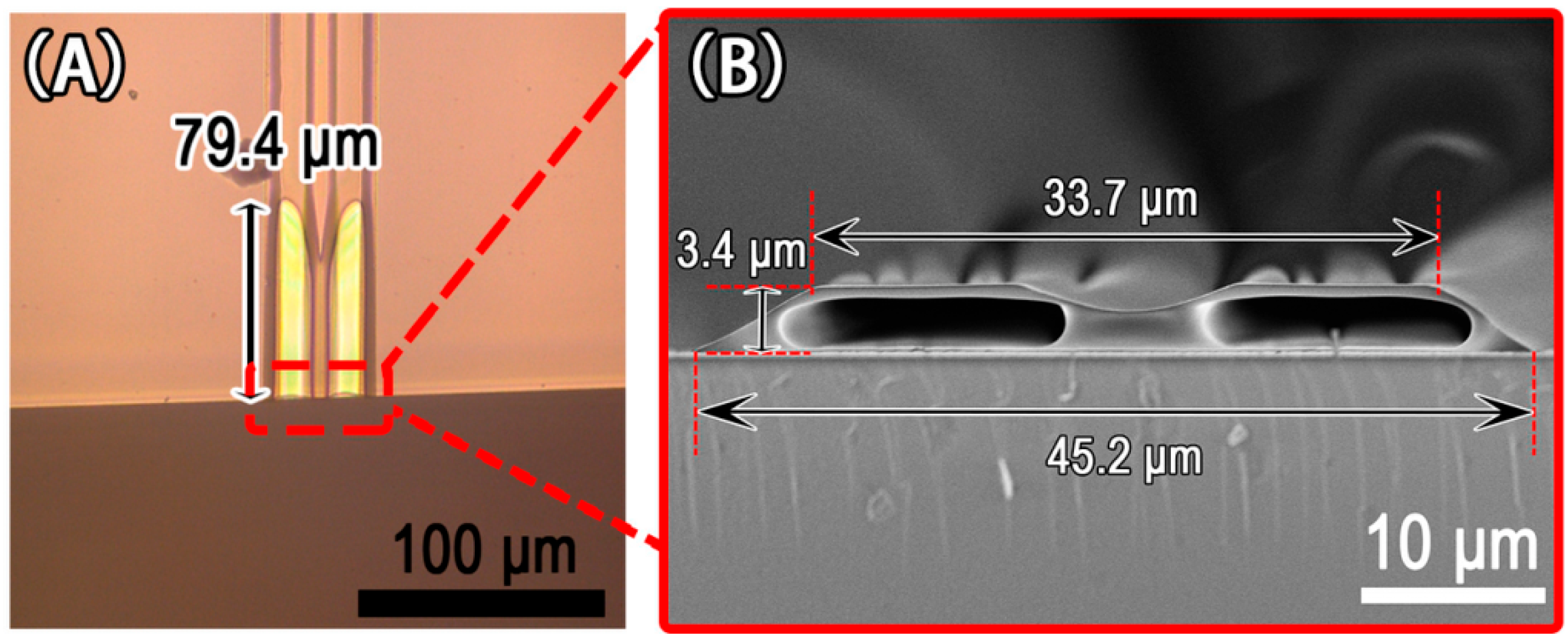 Micromachines 13 00364 g006