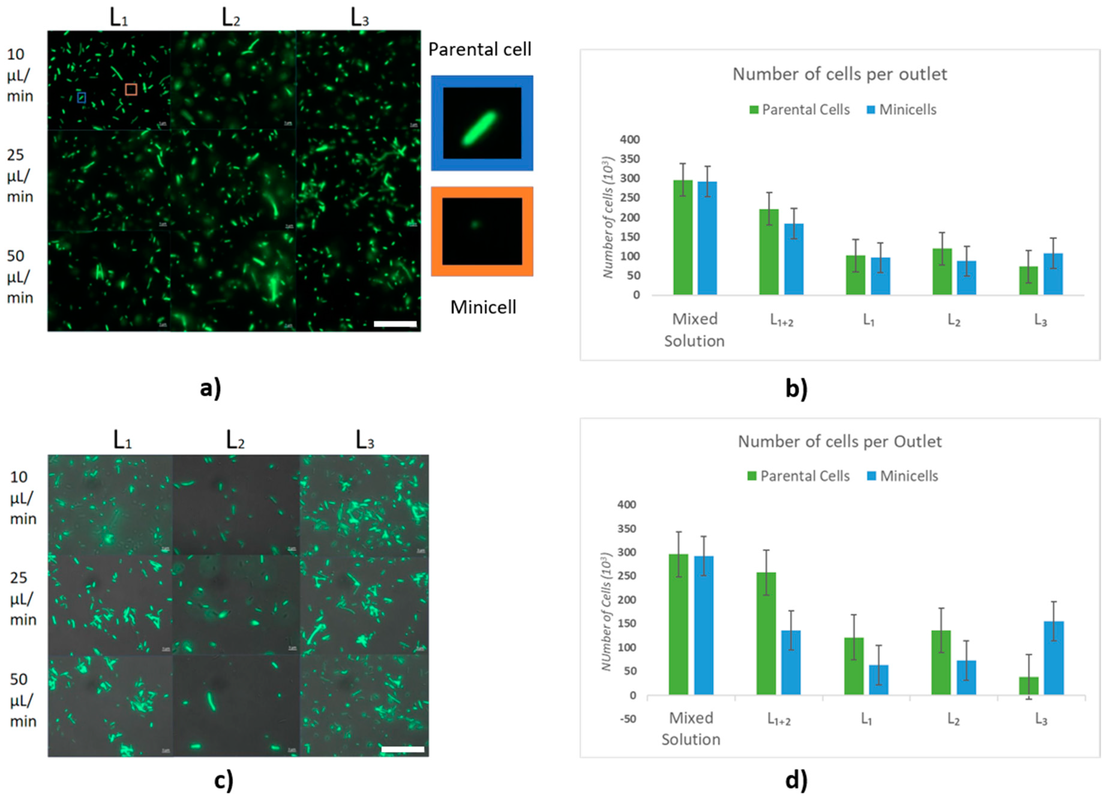 Micromachines 13 00365 g005