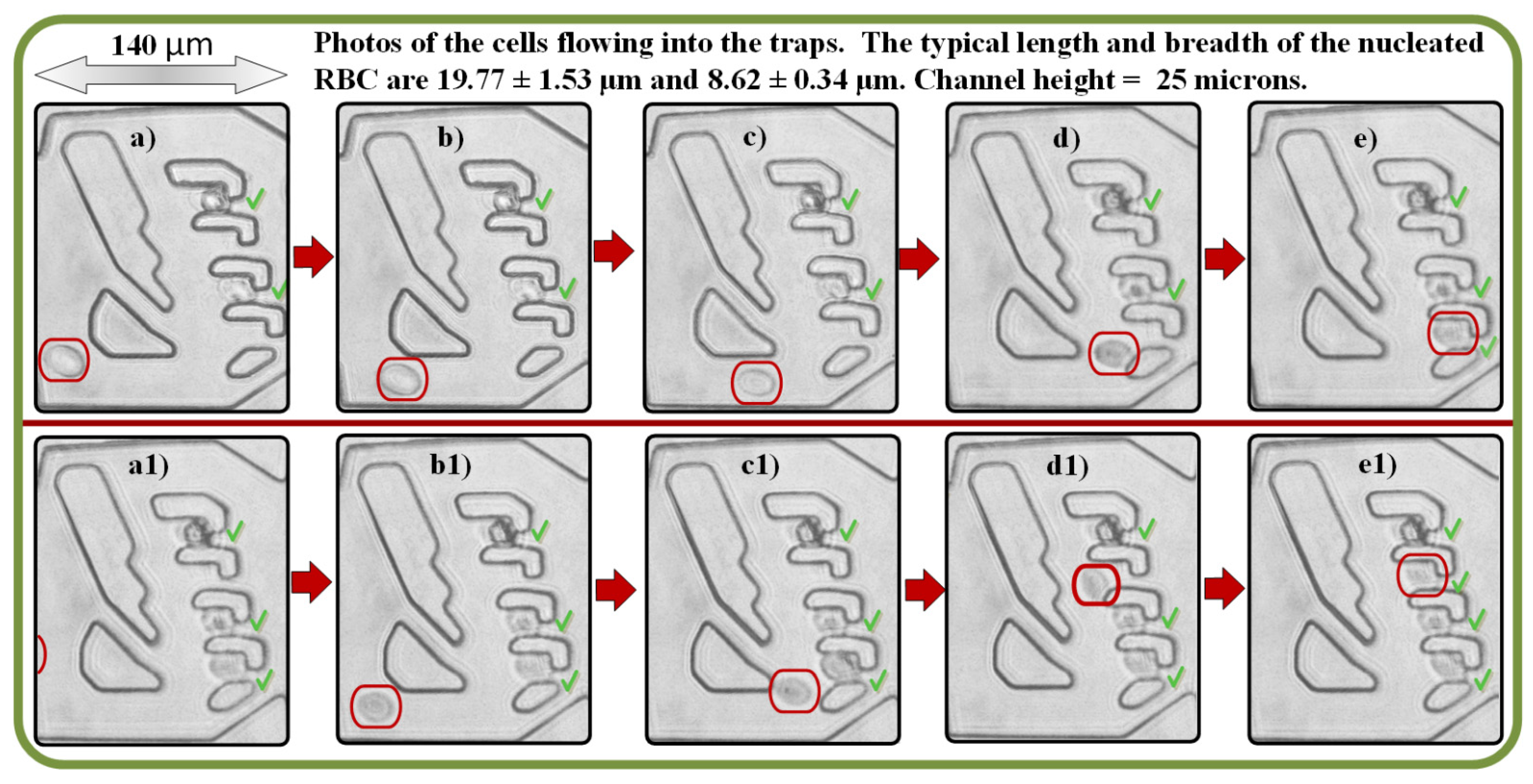 Micromachines 13 00367 g005