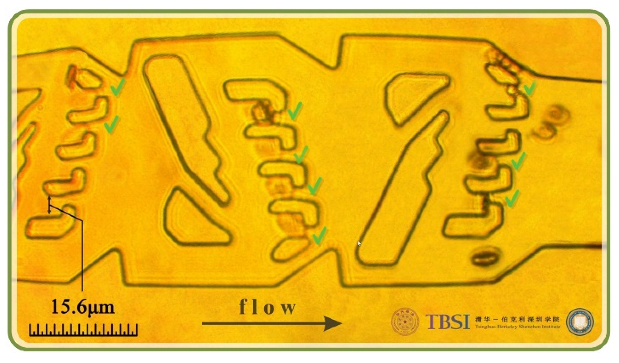 Micromachines 13 00367 g006