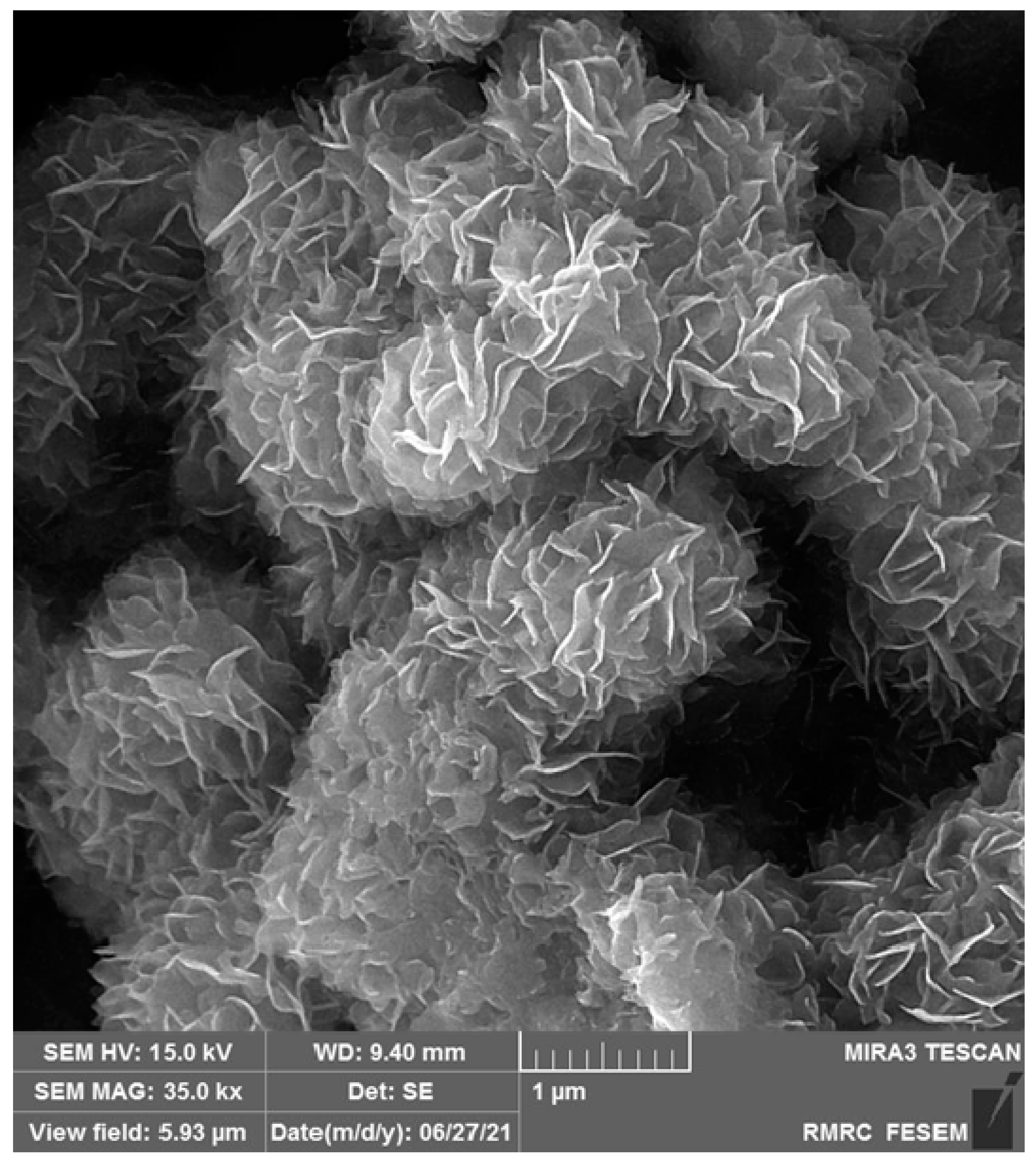 Micromachines 13 00369 g001