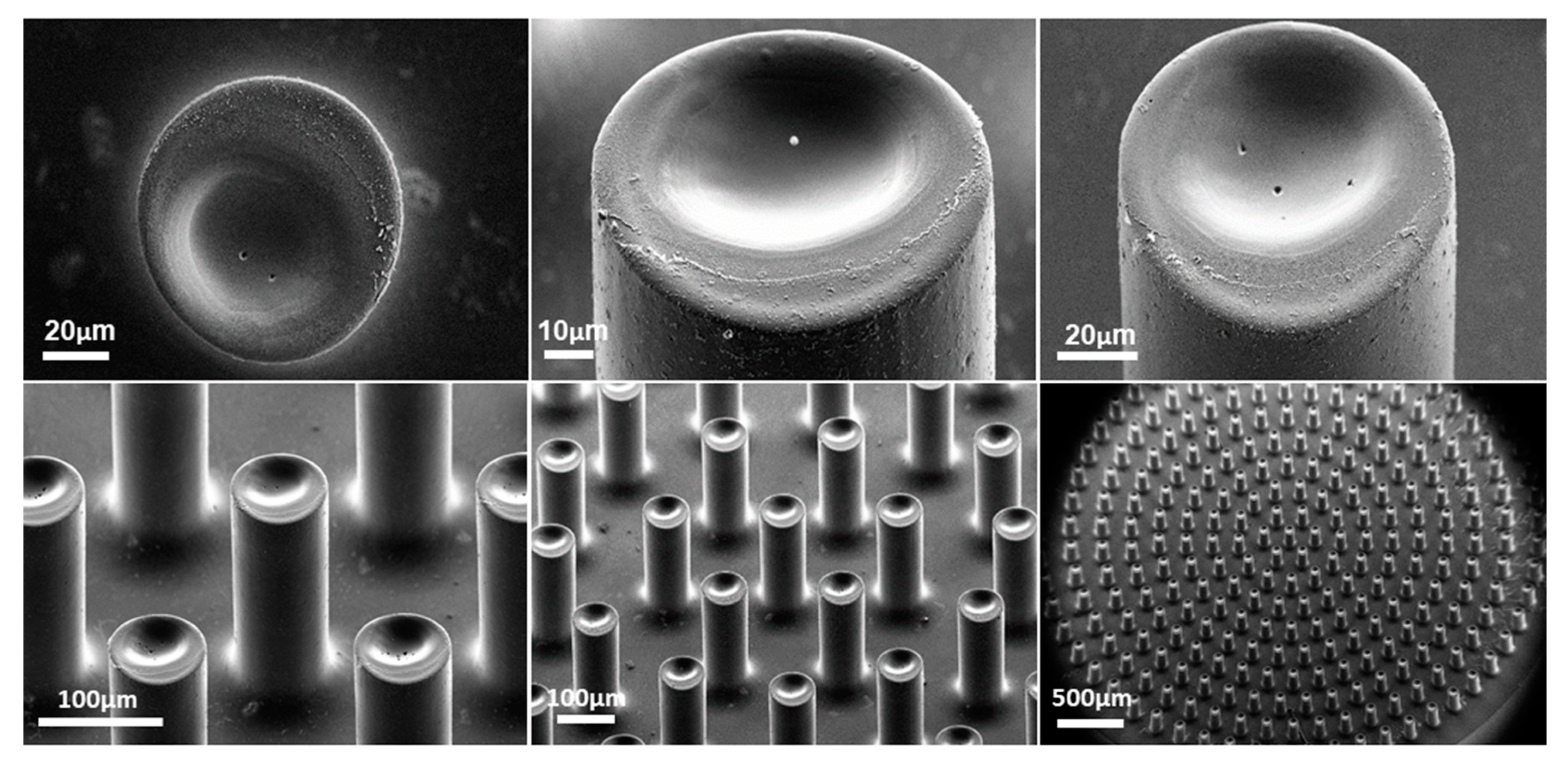 Micromachines 13 00371 g006