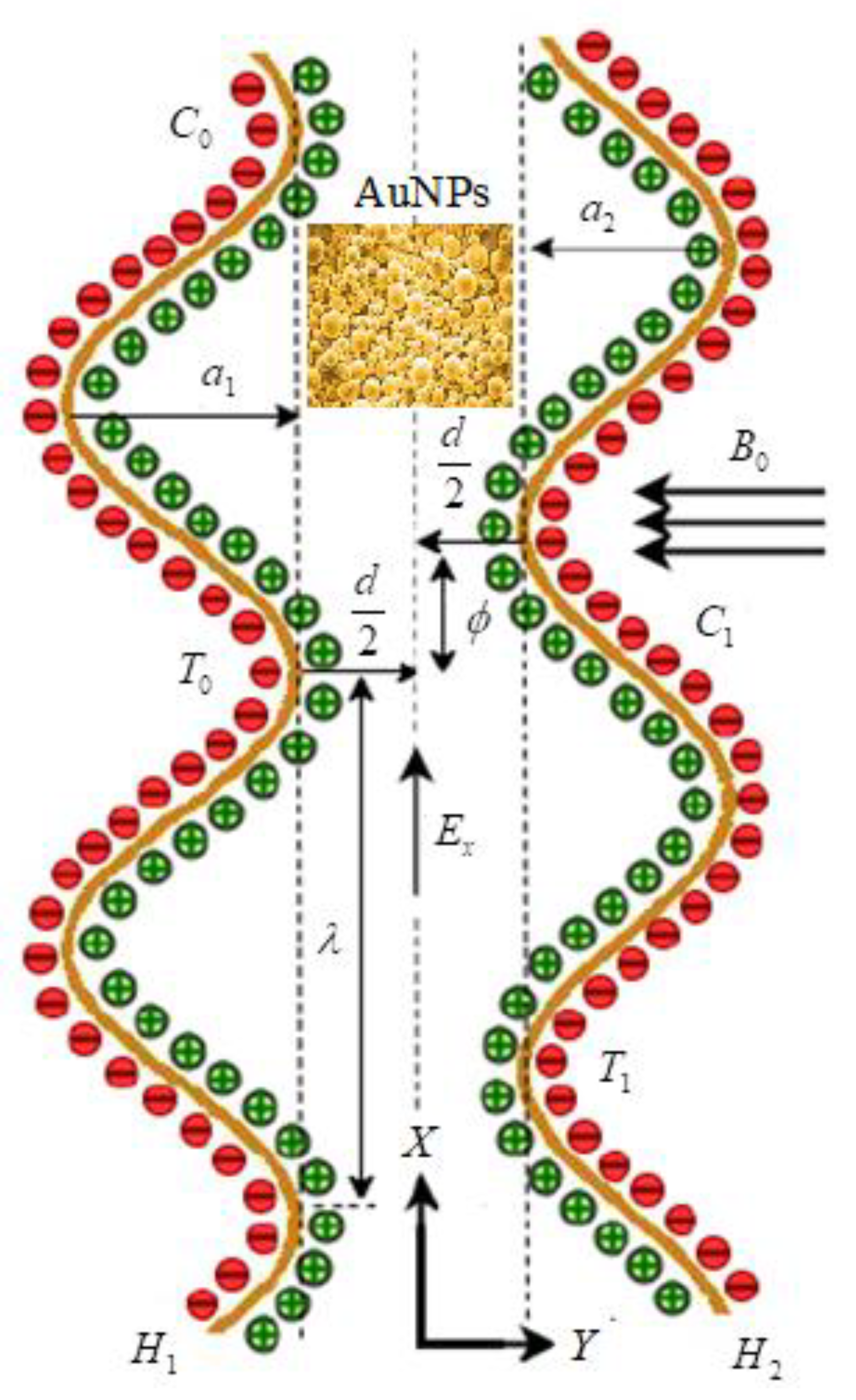 Micromachines 13 00374 g001