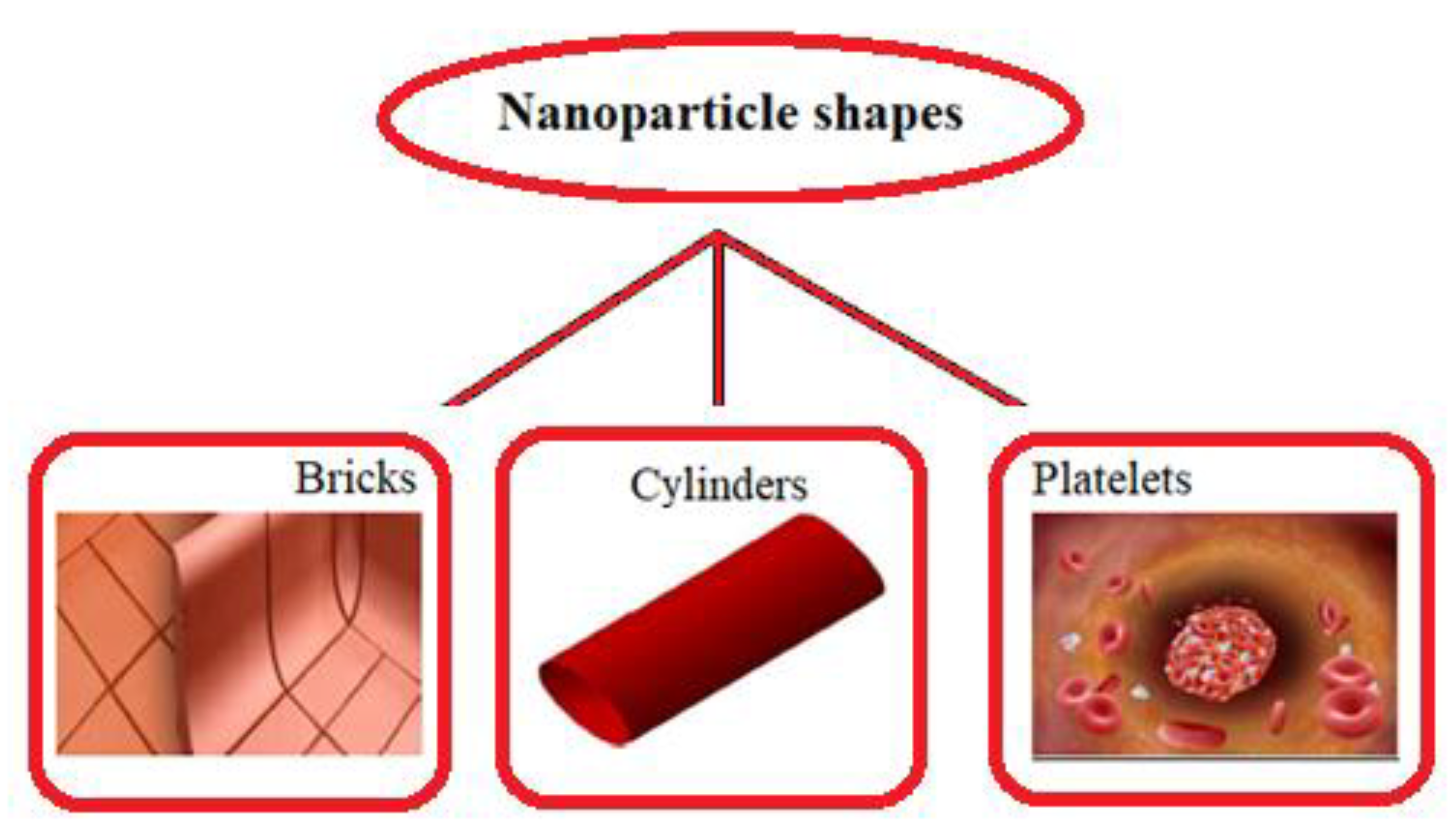 Micromachines 13 00374 g002