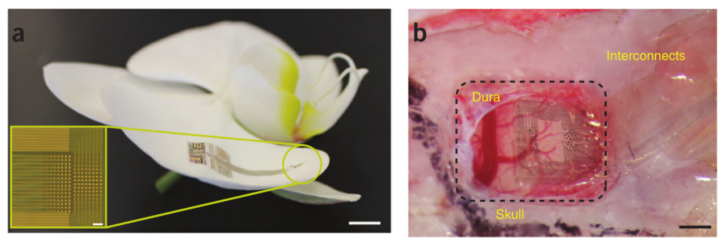 Micromachines 13 00386 g006