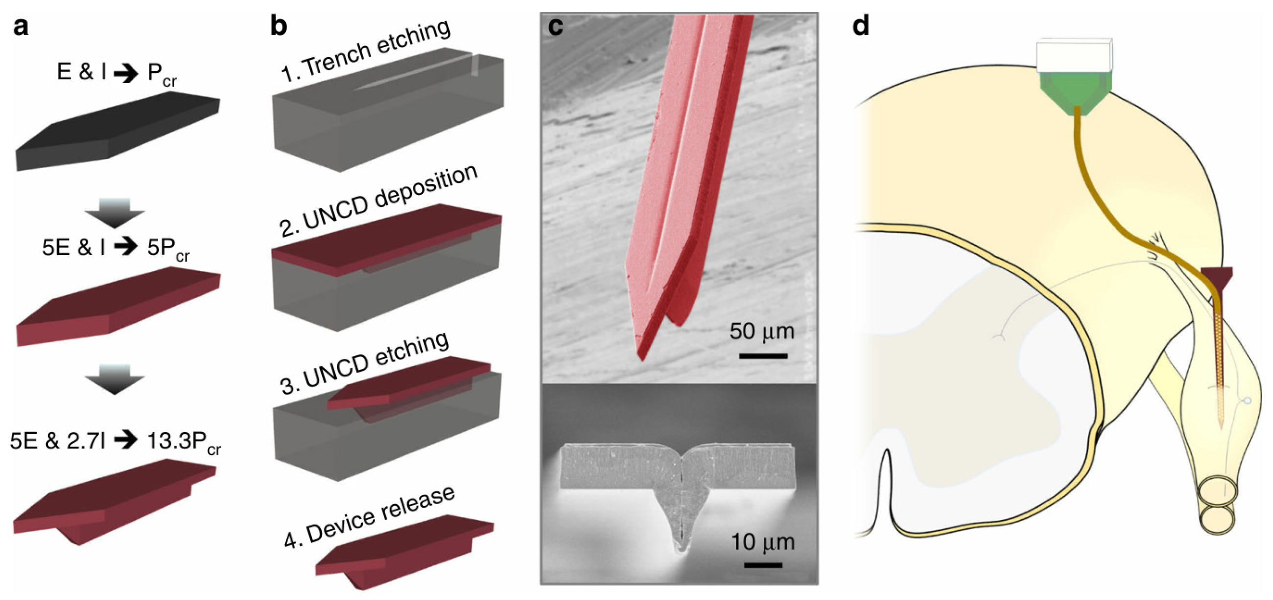 Micromachines 13 00386 g010