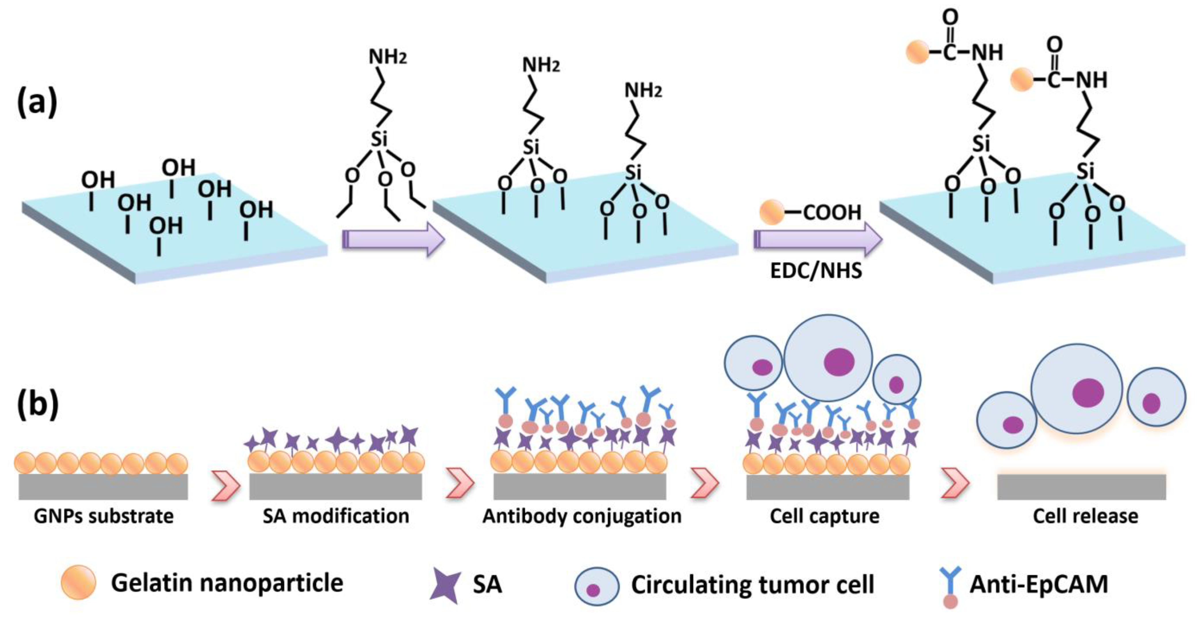 Micromachines 13 00395 g001
