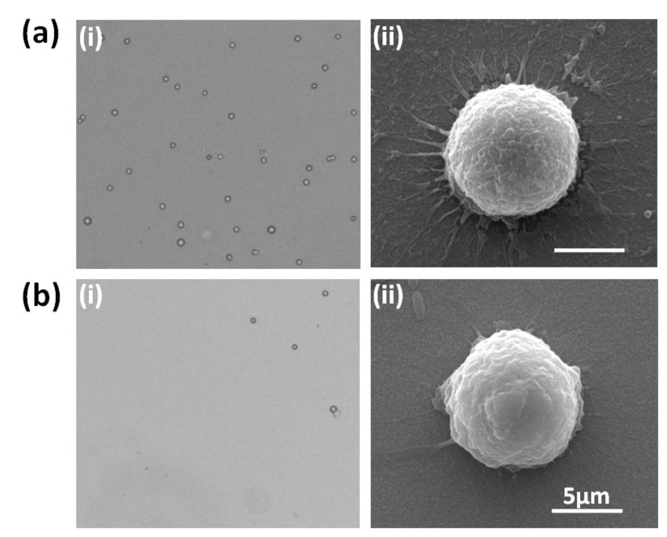 Micromachines 13 00395 g003
