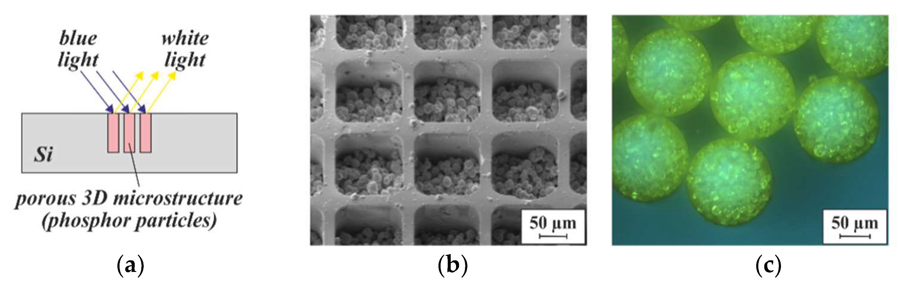 Micromachines 13 00398 g015