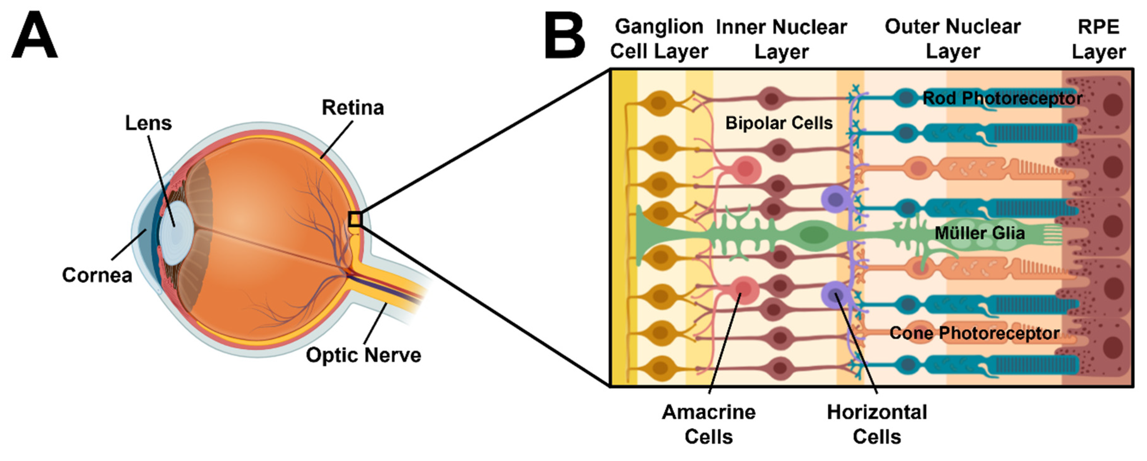 Micromachines 13 00406 g001 Micromachines 13 00406 g001