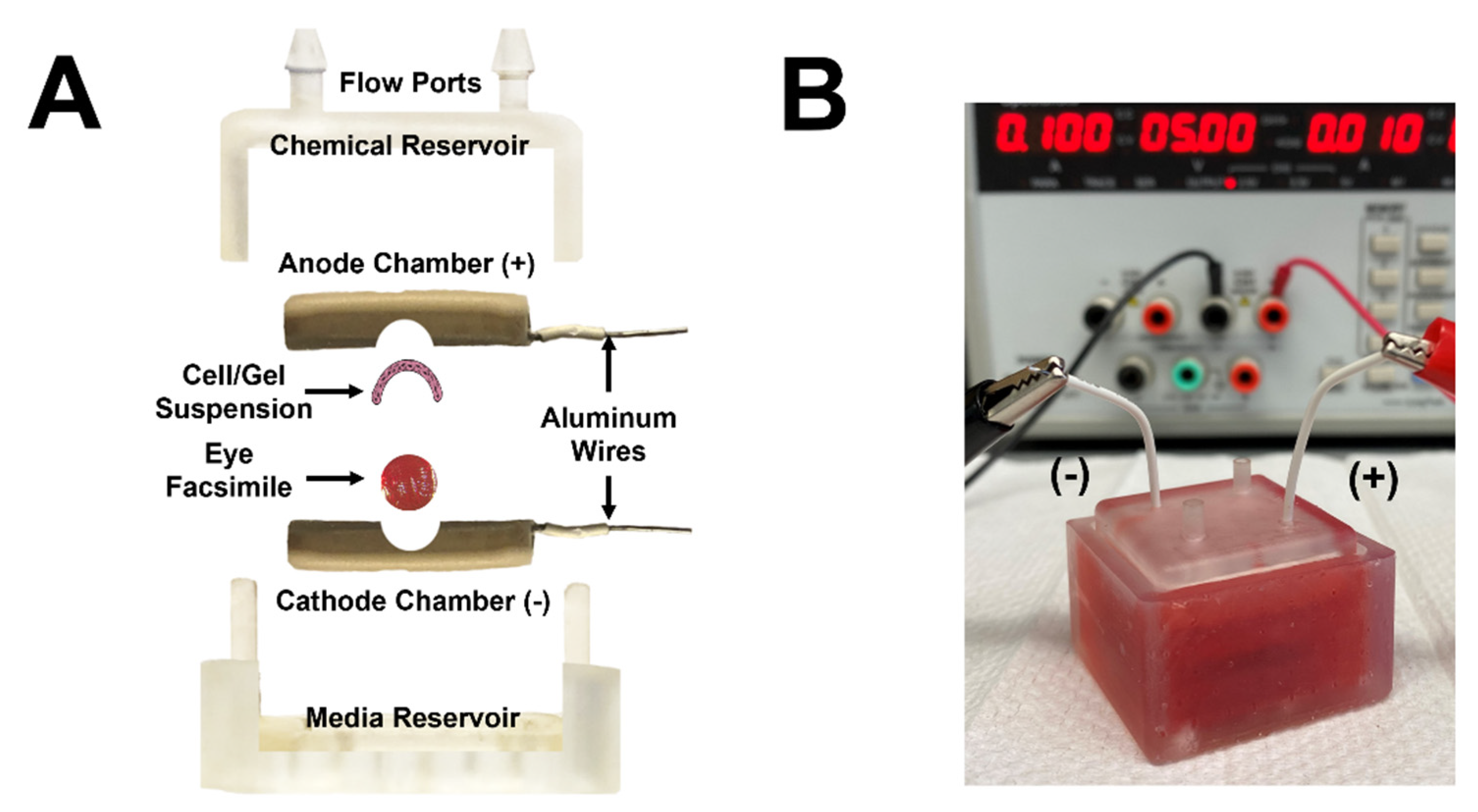 Micromachines 13 00406 g005 Micromachines 13 00406 g005
