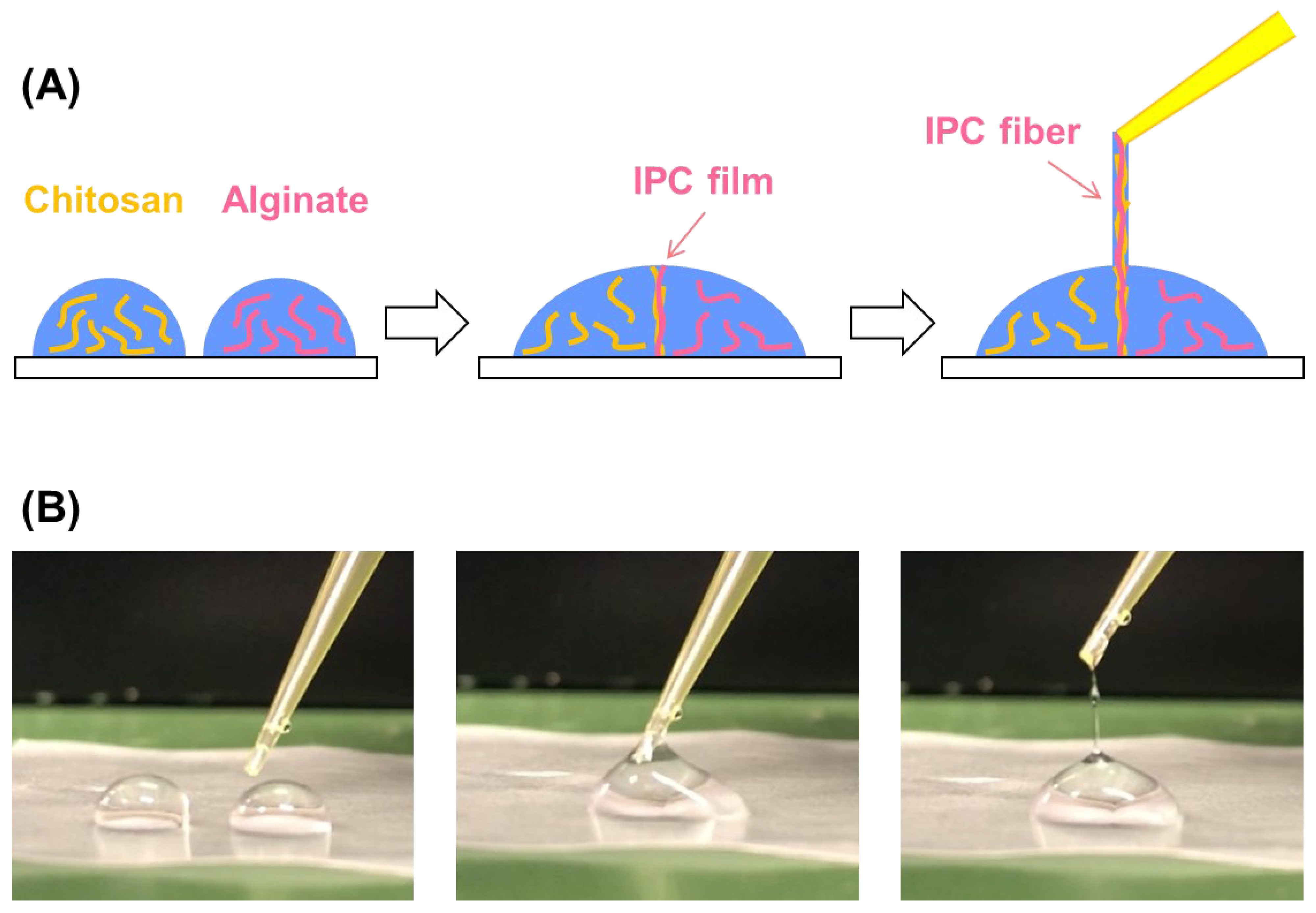 Micromachines 13 00420 g001