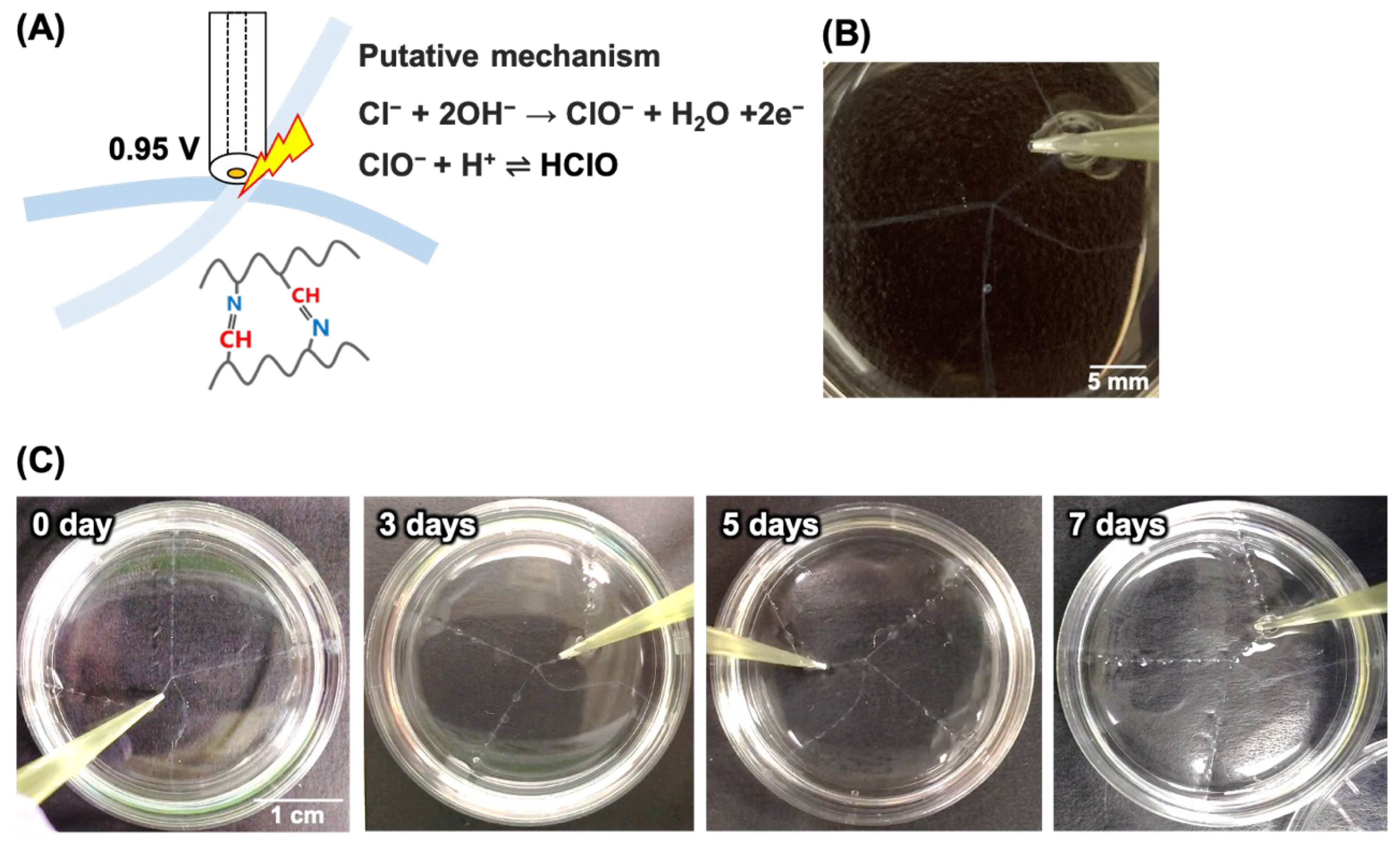 Micromachines 13 00420 g002