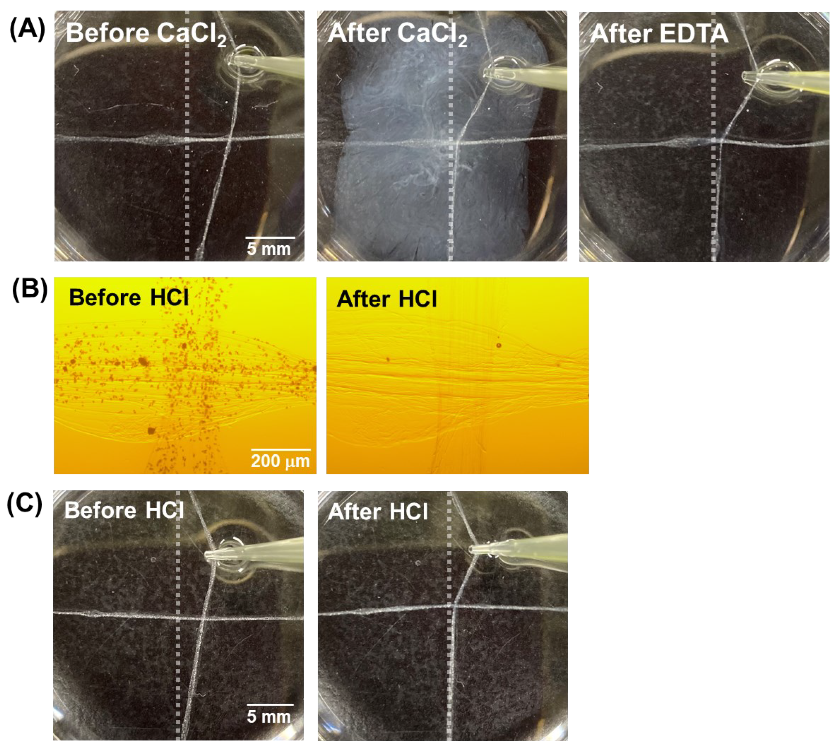 Micromachines 13 00420 g003