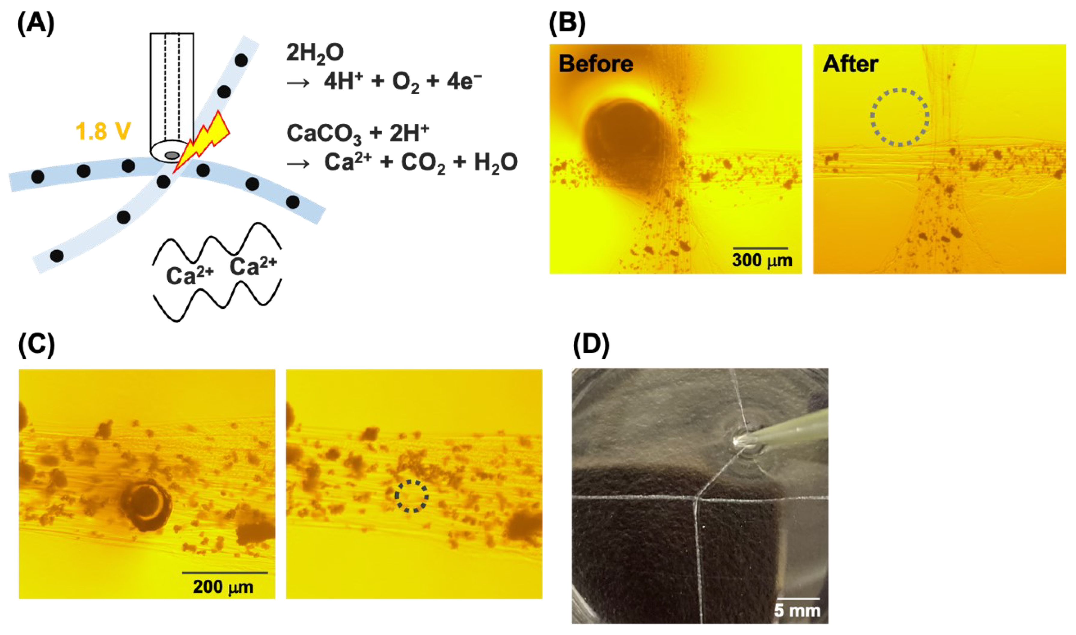 Micromachines 13 00420 g004