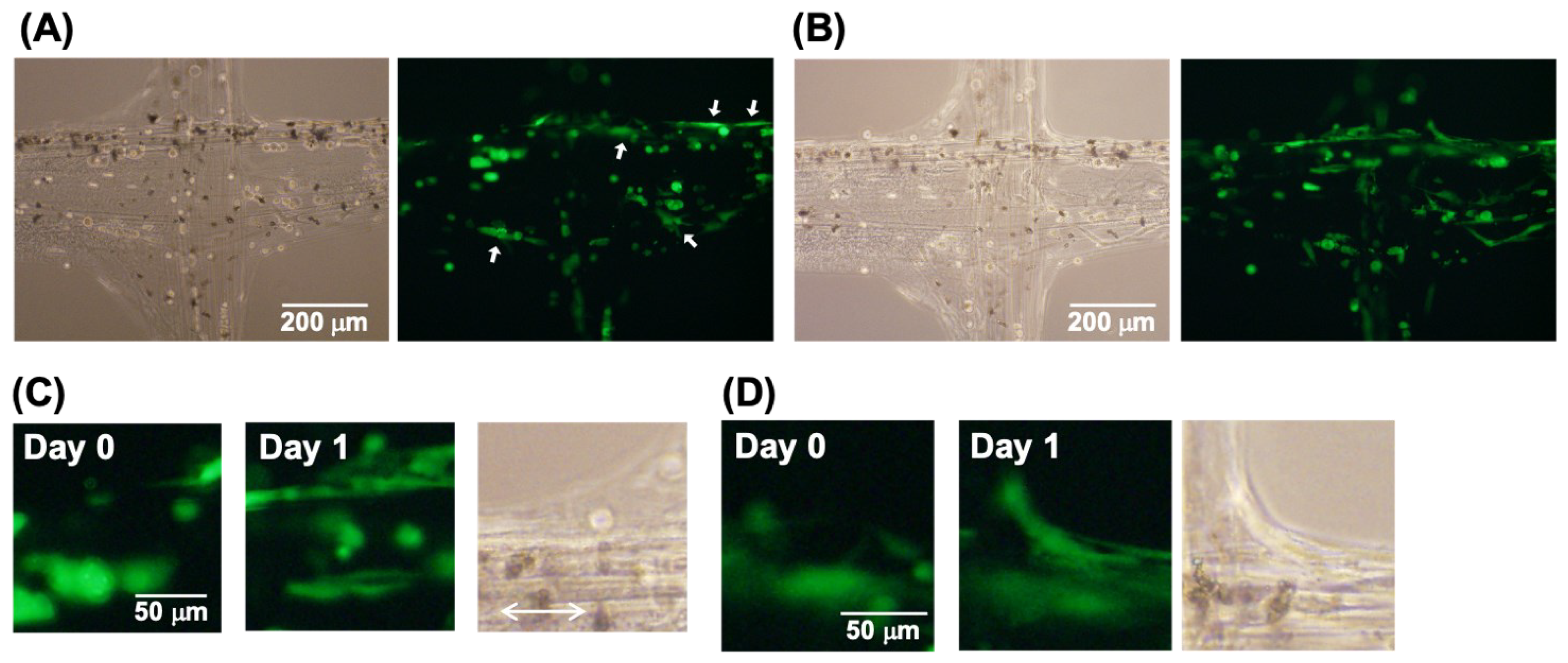 Micromachines 13 00420 g007