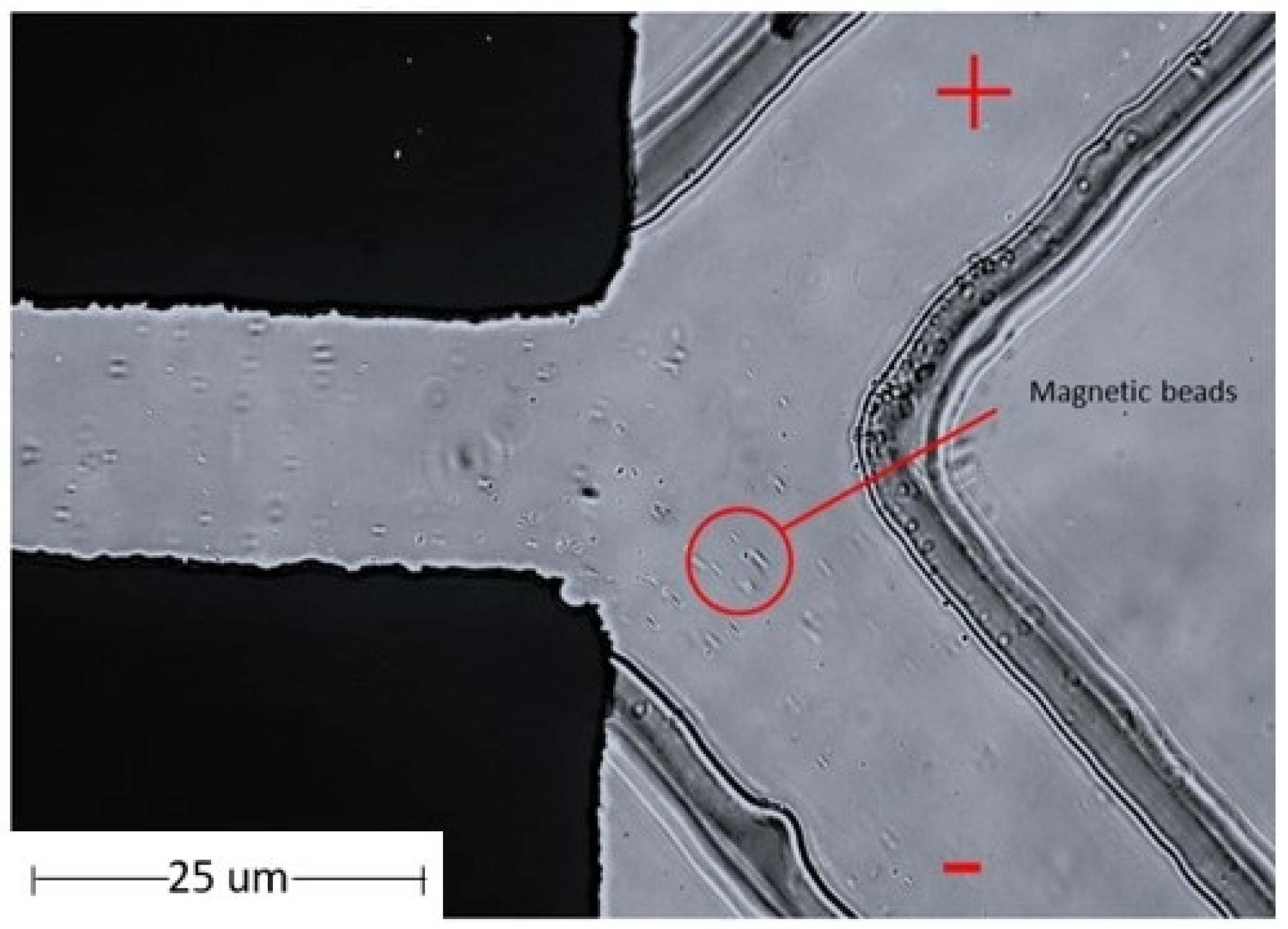 Micromachines 13 00426 g008