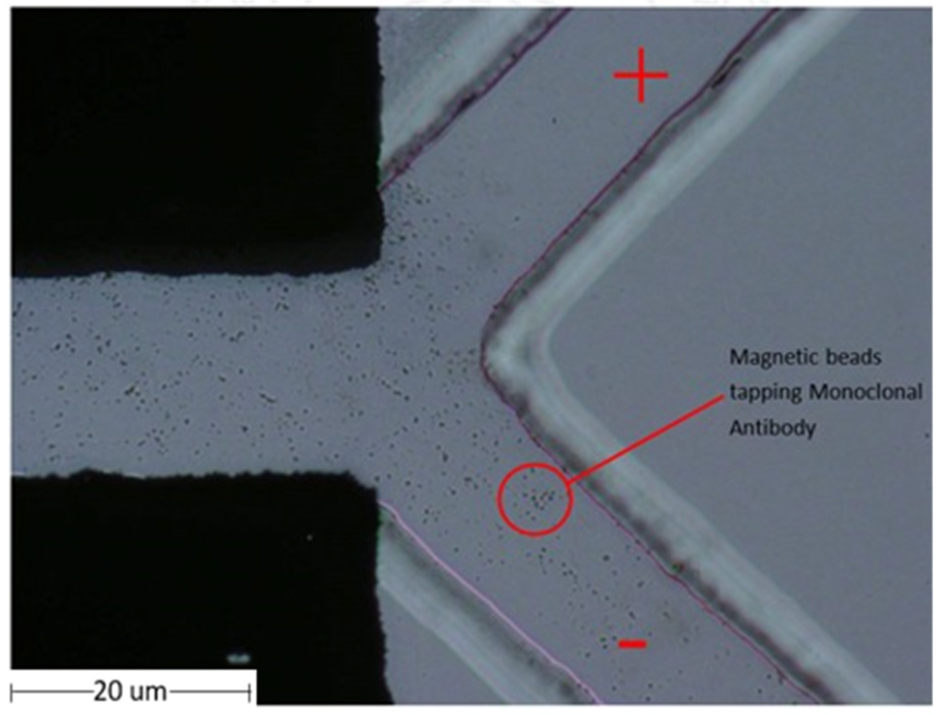 Micromachines 13 00426 g009