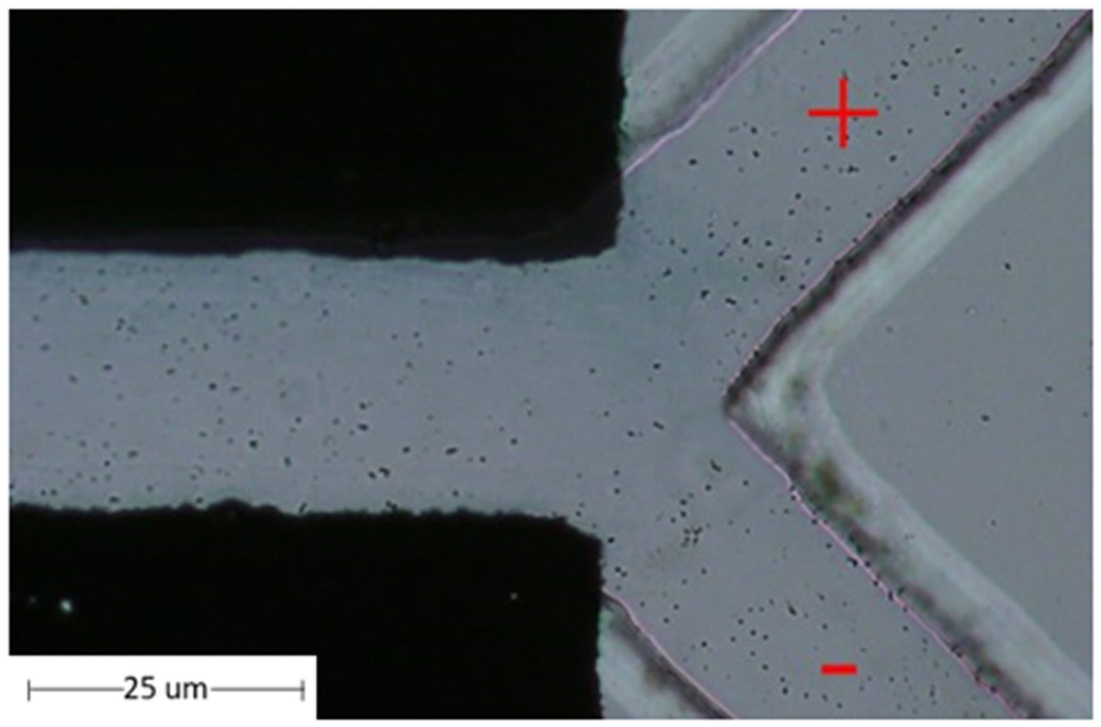 Micromachines 13 00426 g010